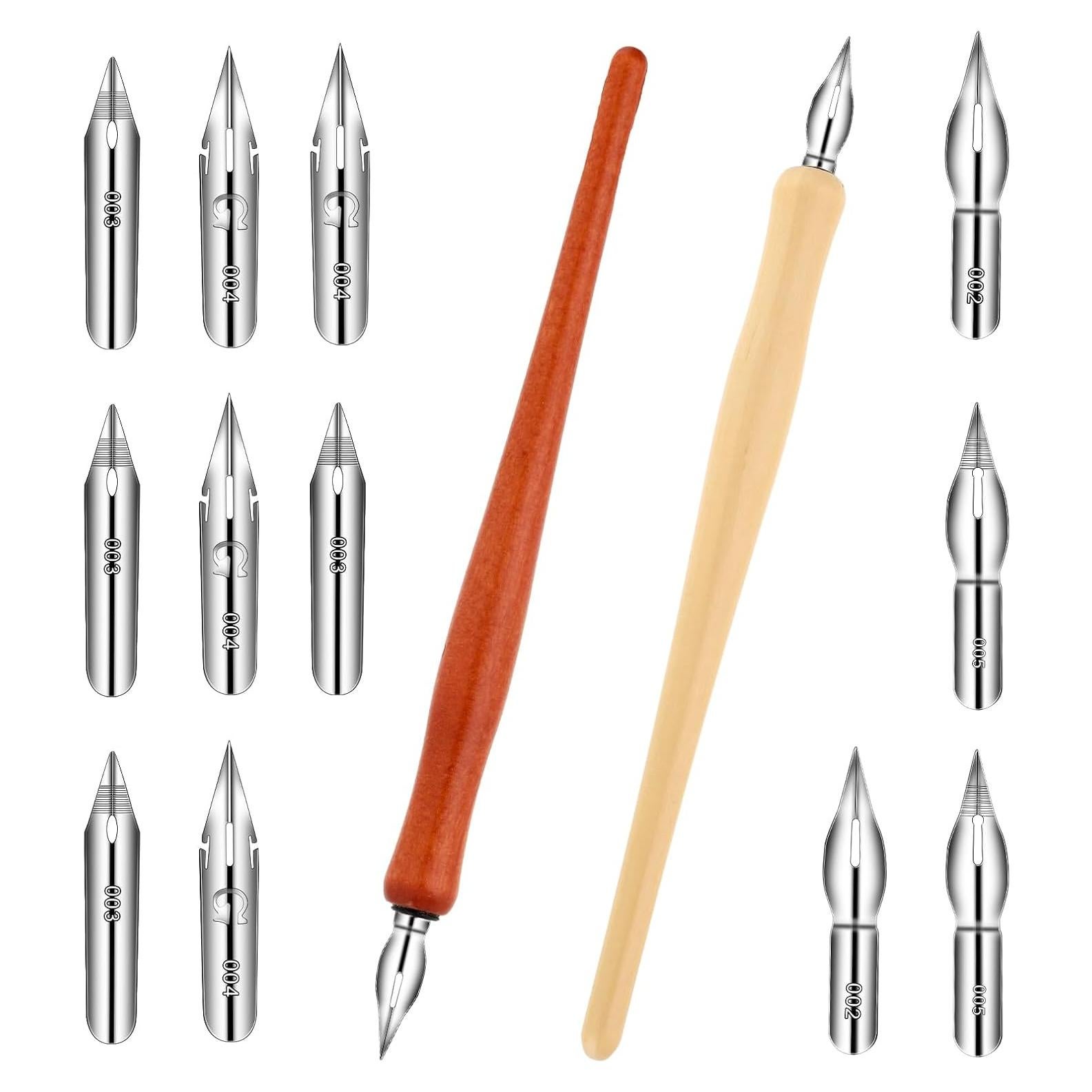 Conjunto de Plumas de Inmersión Larrel 14 PCS Caligrafía