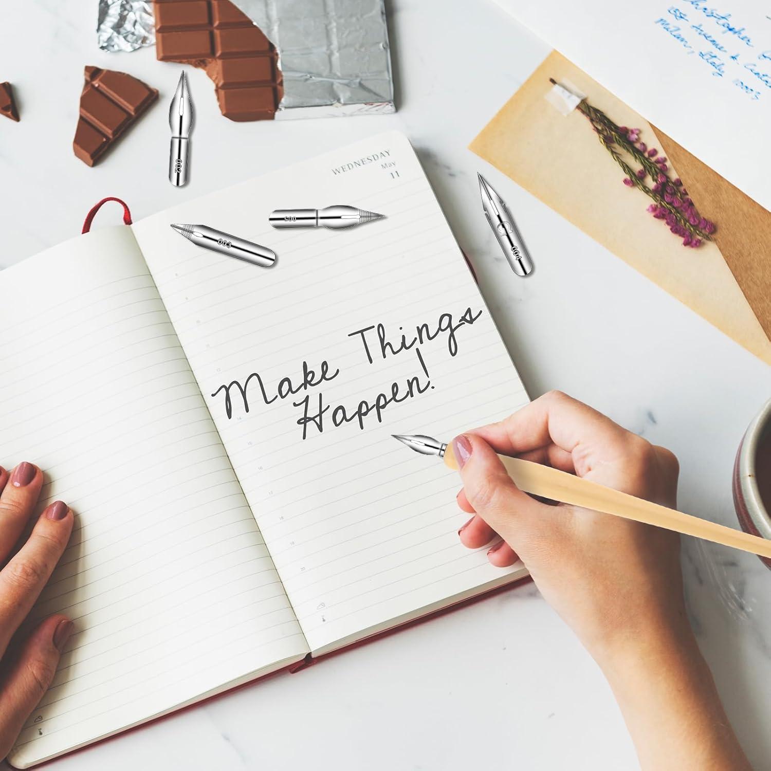 Conjunto de Plumas de Inmersión Larrel 14 PCS Caligrafía