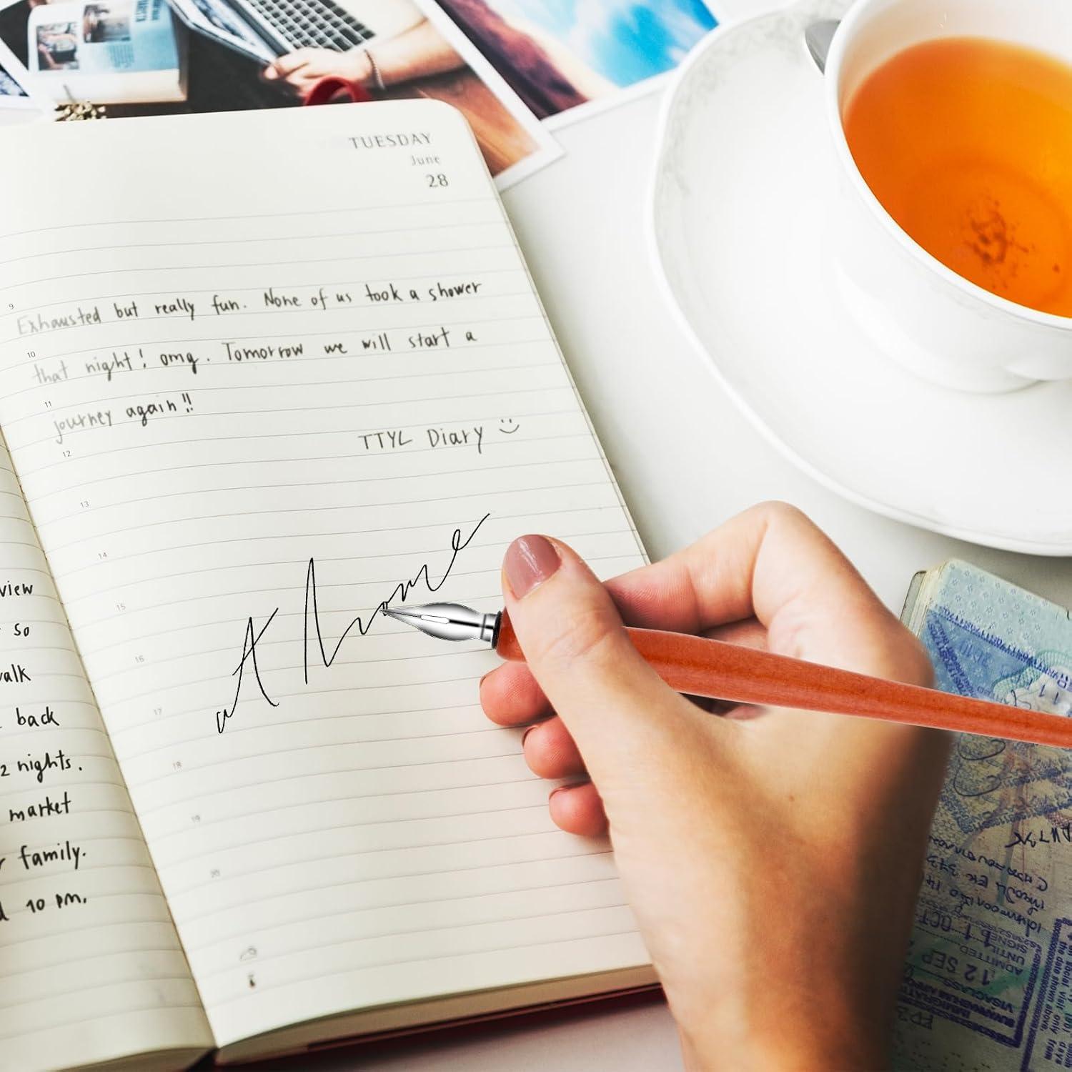 Conjunto de Plumas de Inmersión Larrel 14 PCS Caligrafía