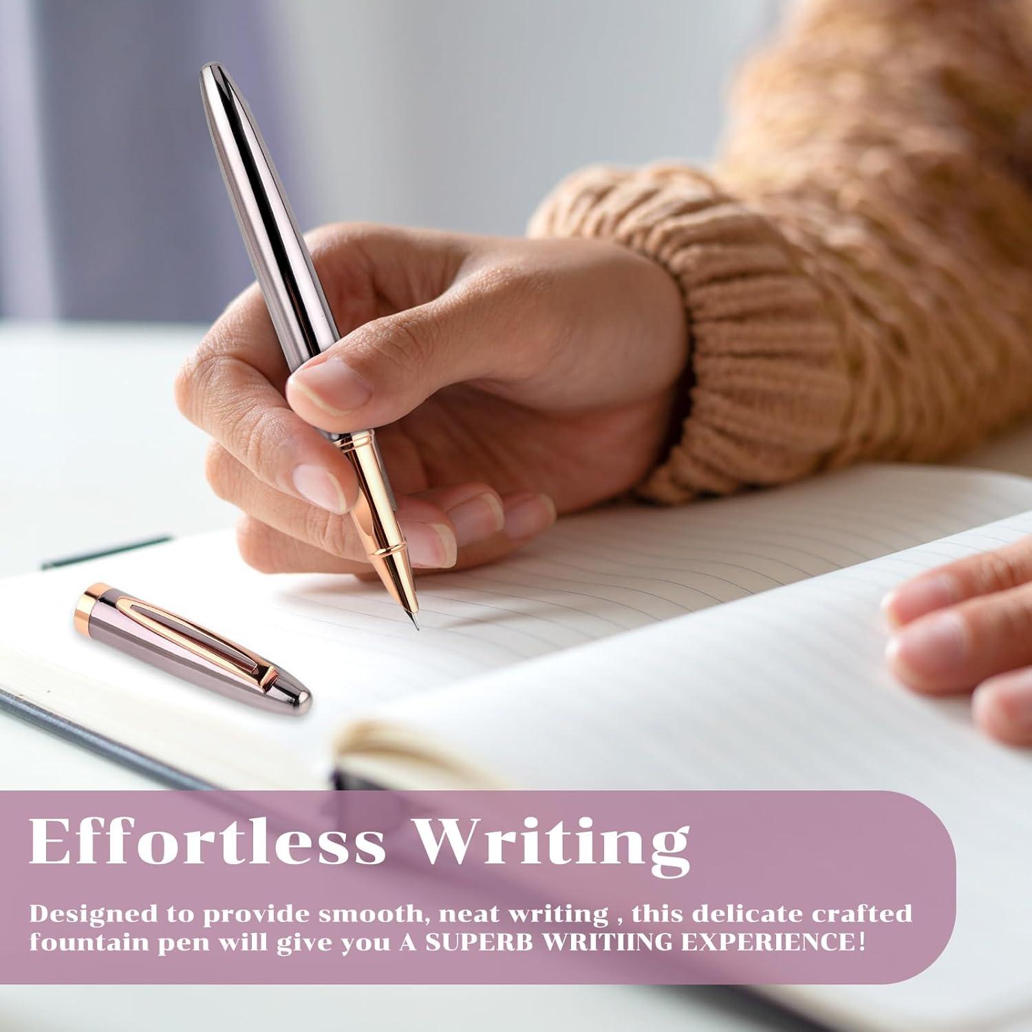 Pluma Fuente Amaxiu Gris Metal 0.38mm con 10 Cartuchos