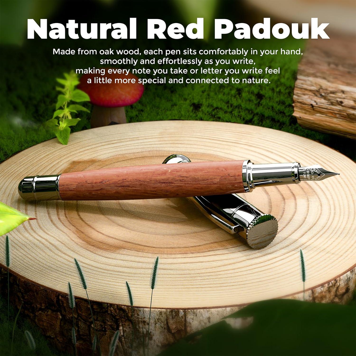 Juego de Pluma Fuente WEMATE Rojo, Punta Fina, 20 Cartuchos