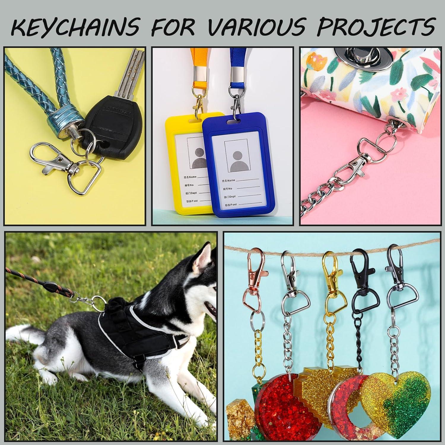 LEOBRO 60 Ganchos de Garra de Langosta para Llaveros - 5 Colores