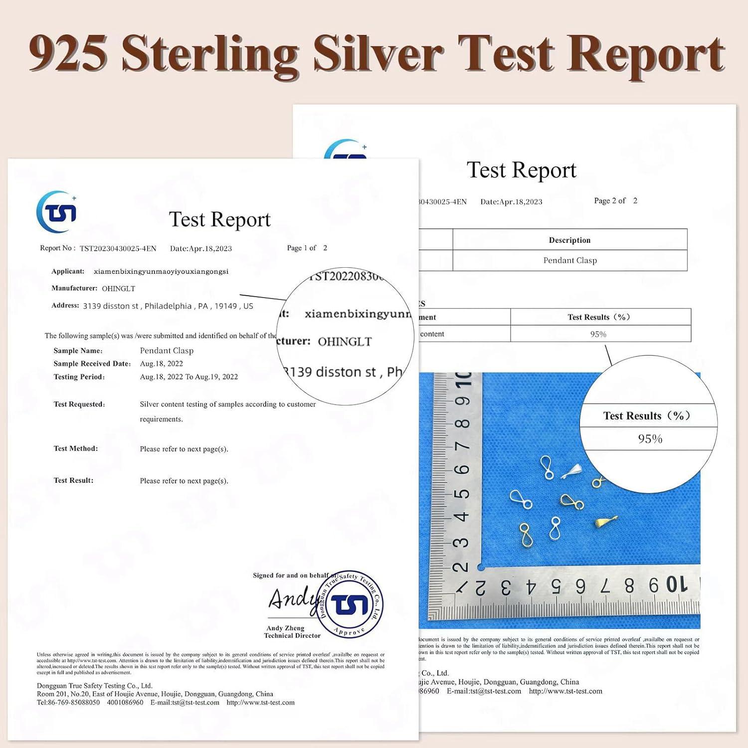 Ganchos de Joyería OHINGLT 925 Plata Esterlina 5 Pcs