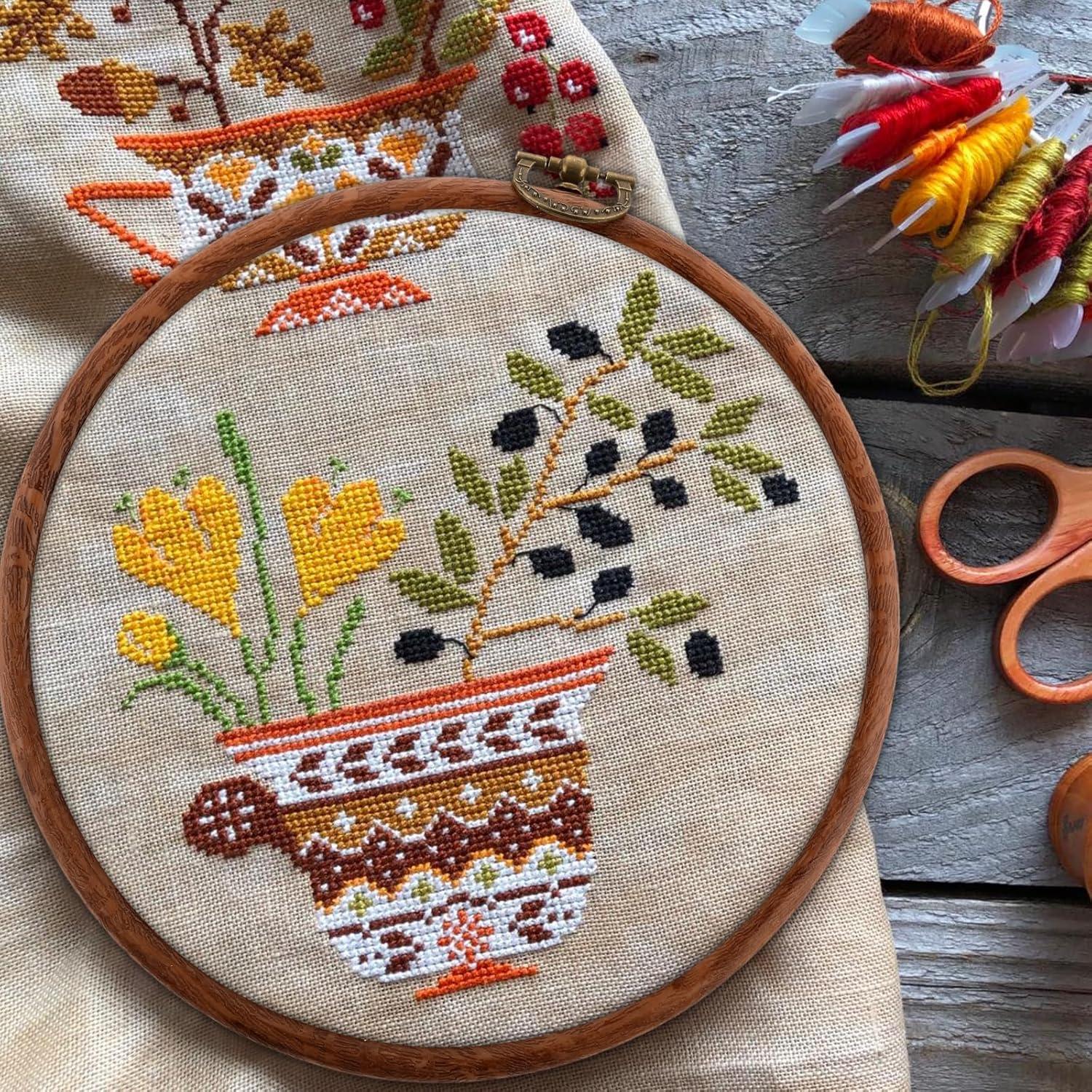 Aros de Bordado DIVINA VITAE 2 Piezas 15.24 cm Plástico