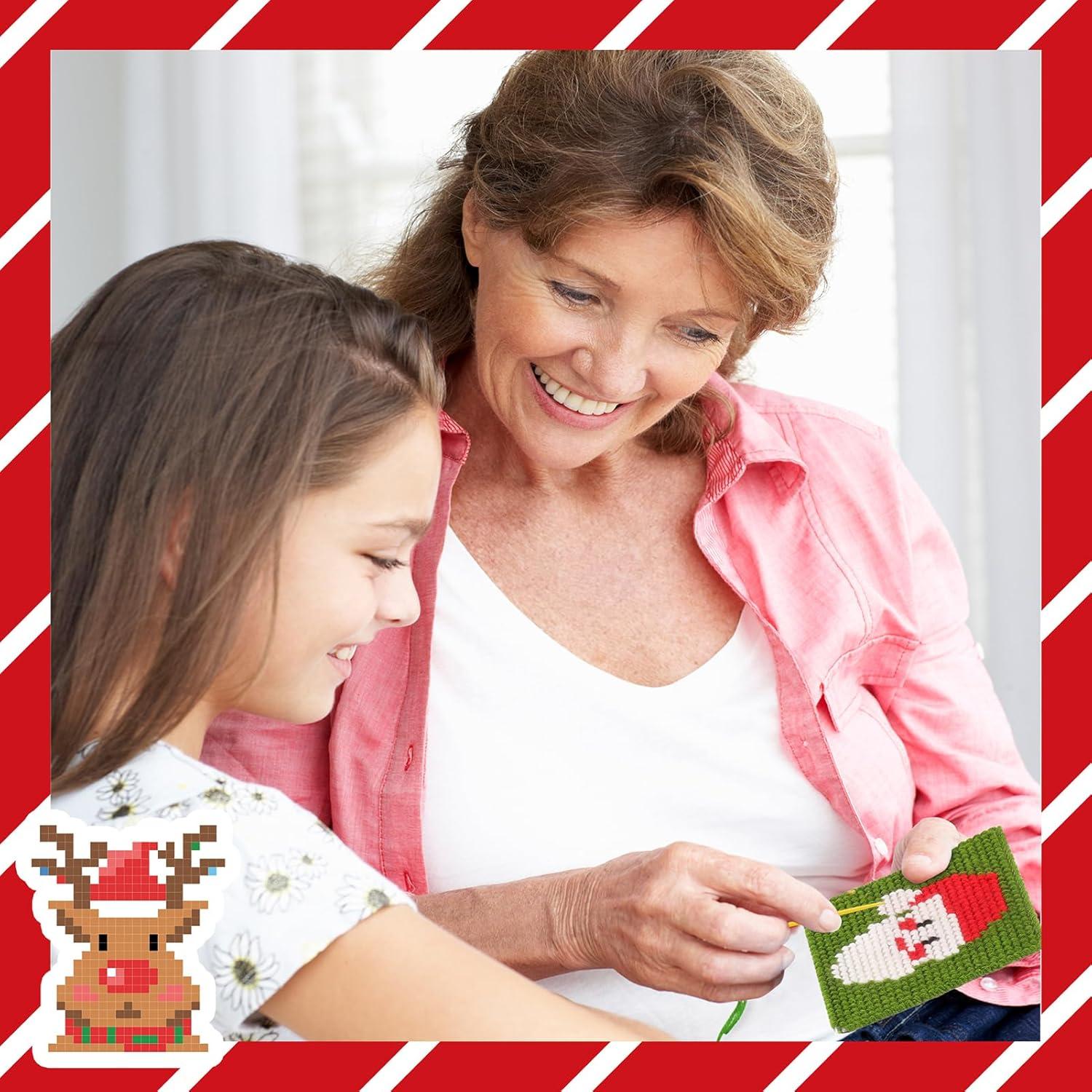 Kit de Bordado de Navidad Pllieay 10 Patrones para Principiantes