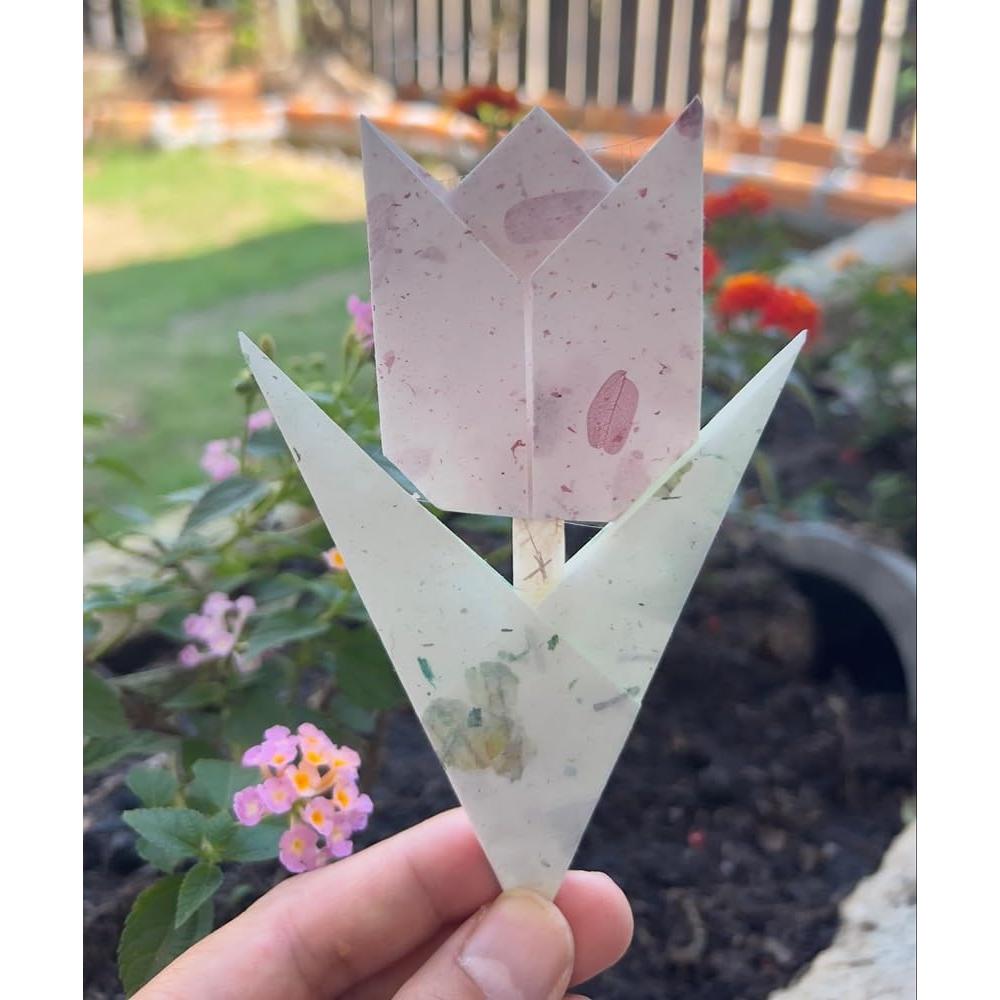 50 Hojas Papel de Origami Morera 15x15cm Colores Mezclados