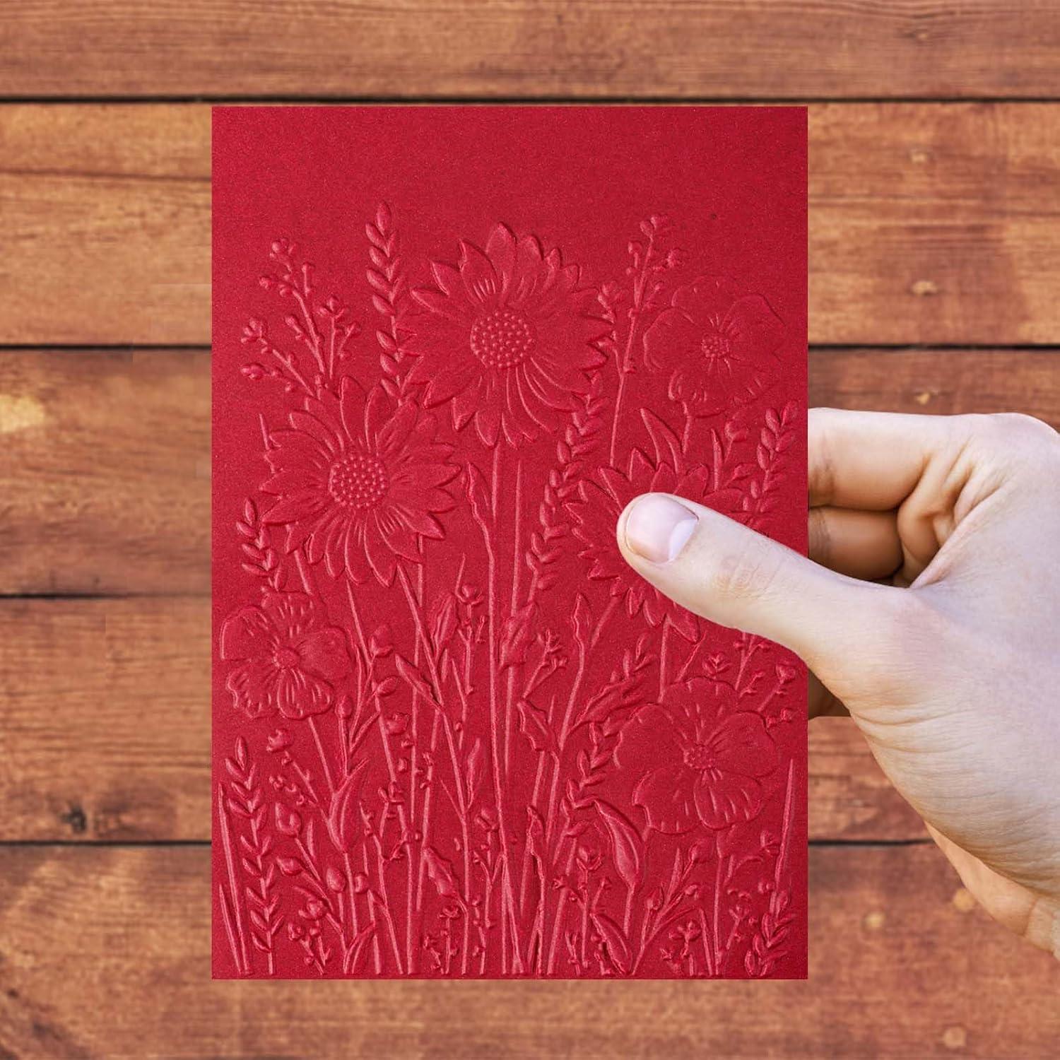 2 Carpetas de Relieve 3D Gosknor 11.4x16 cm para Scrapbooking