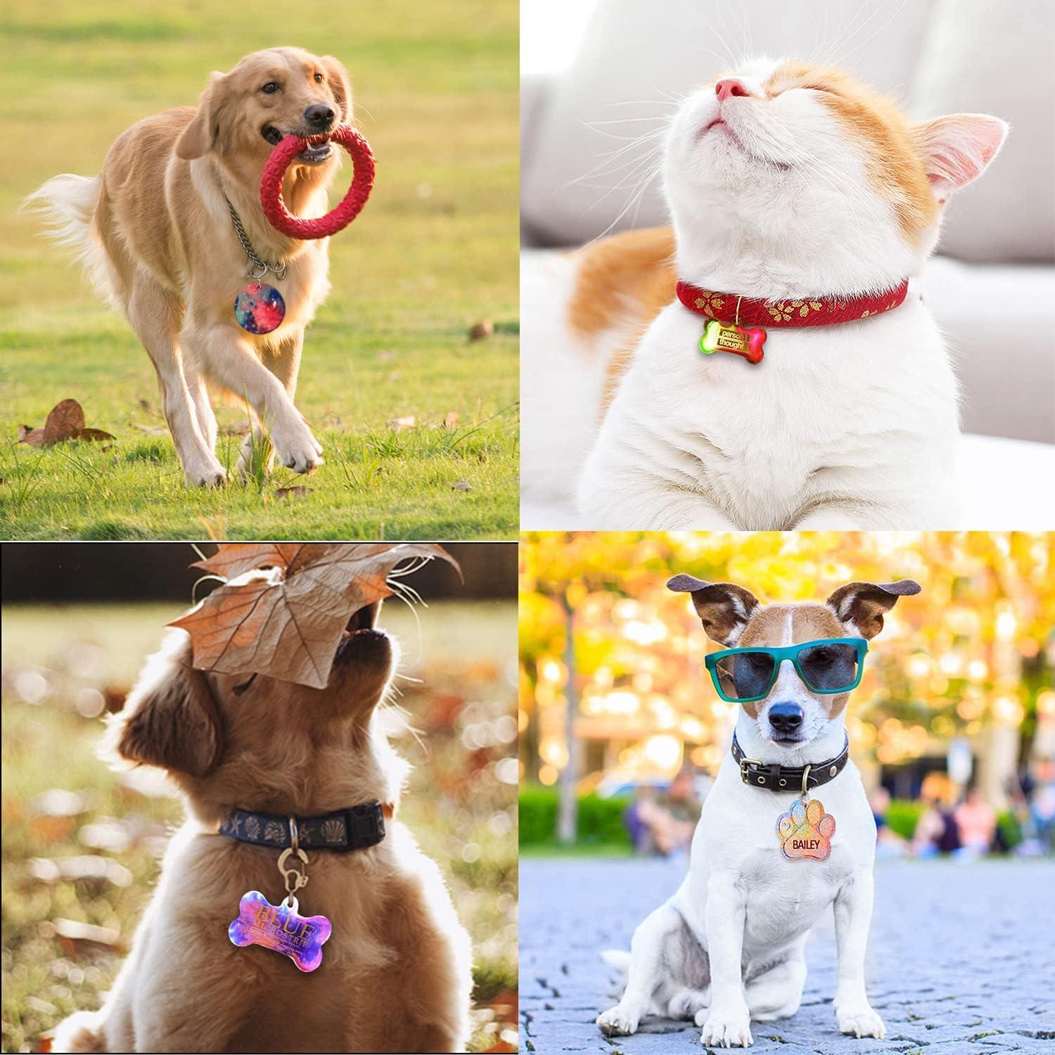 Moldes de Silicona Konrisa para Etiquetas de Mascotas 22 Cavidades