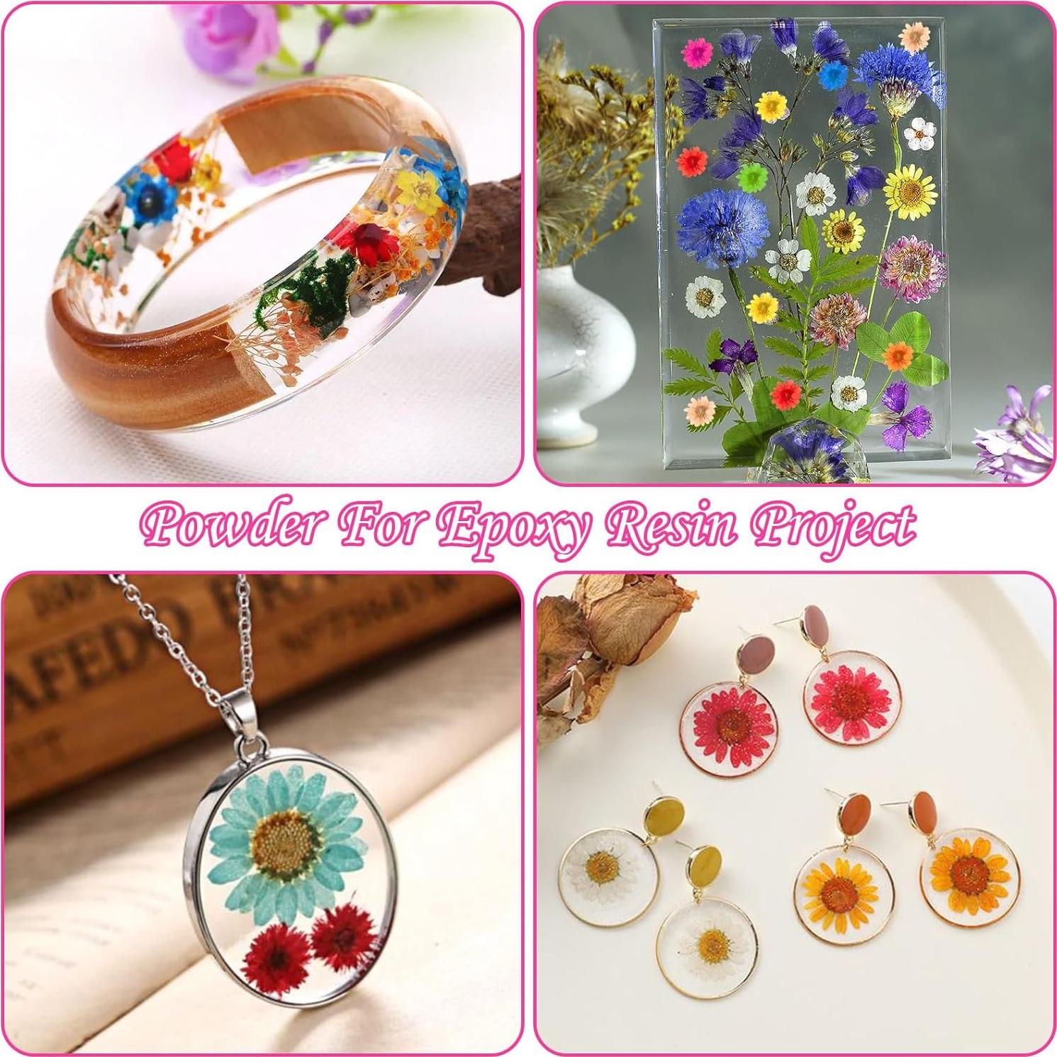 300 Flores Secas Naturales para Manualidades - Joyería DIY