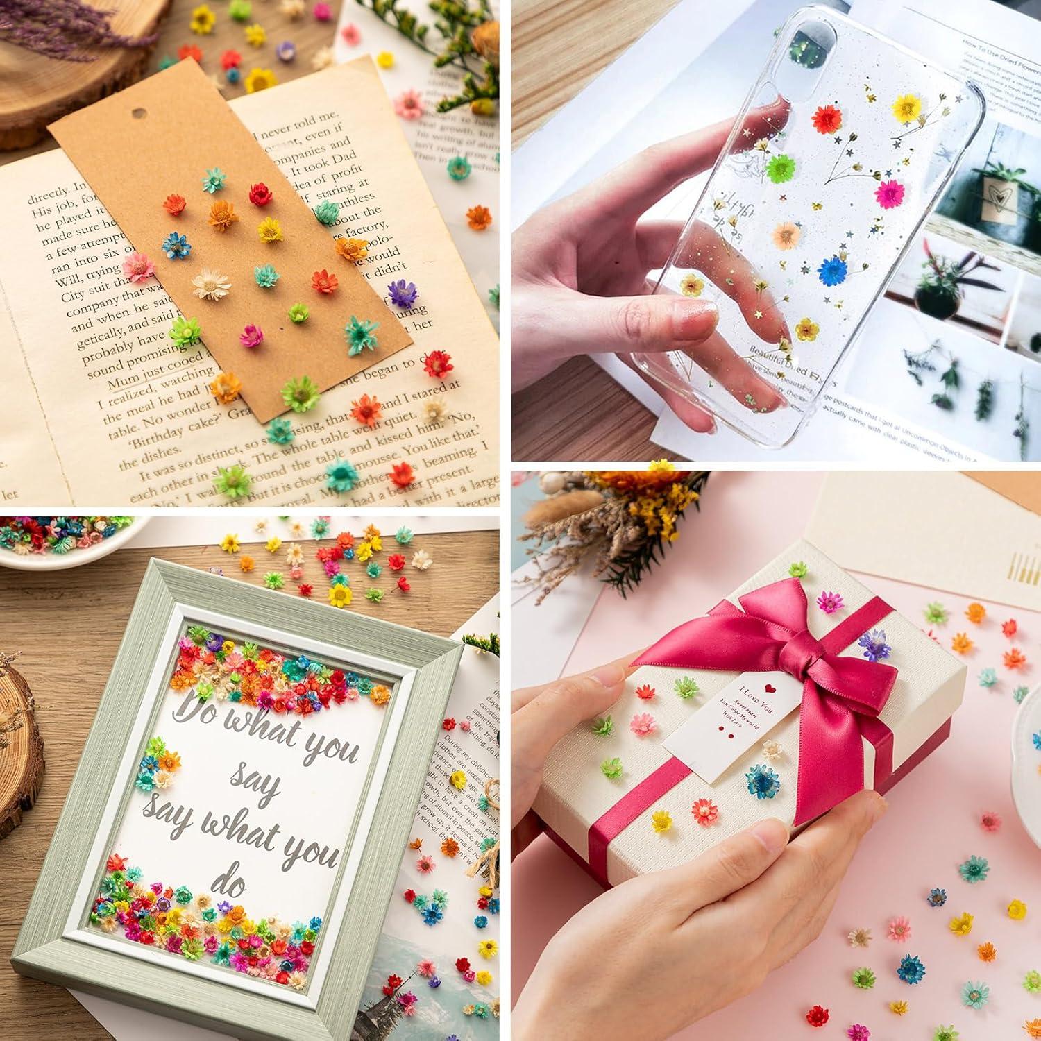 300 Flores Secas Naturales para Manualidades - Joyería DIY