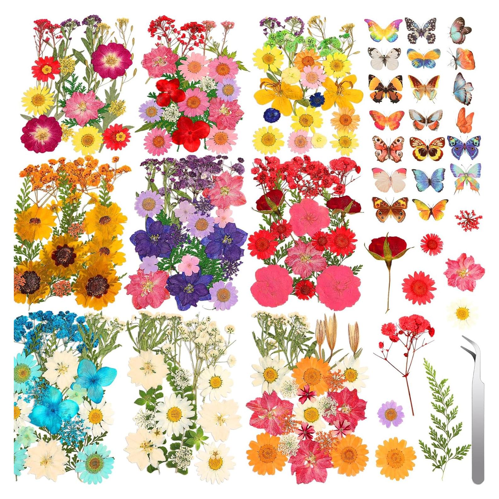 235 Piezas Flores Secas Prensadas Cruzix para Manualidades