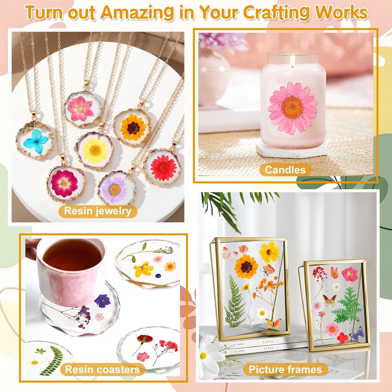 235 Piezas Flores Secas Prensadas Cruzix para Manualidades