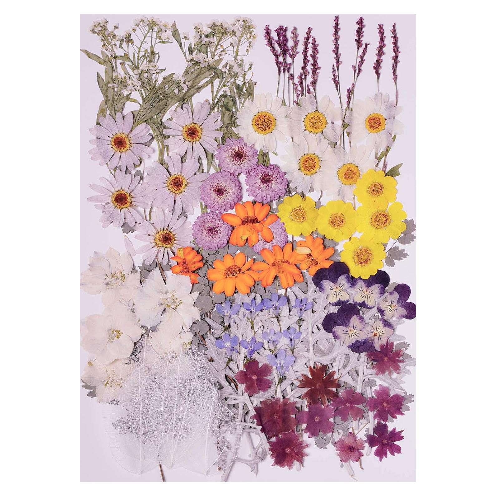 100 Flores Secas Prensadas Naturales AHTONG para Manualidades