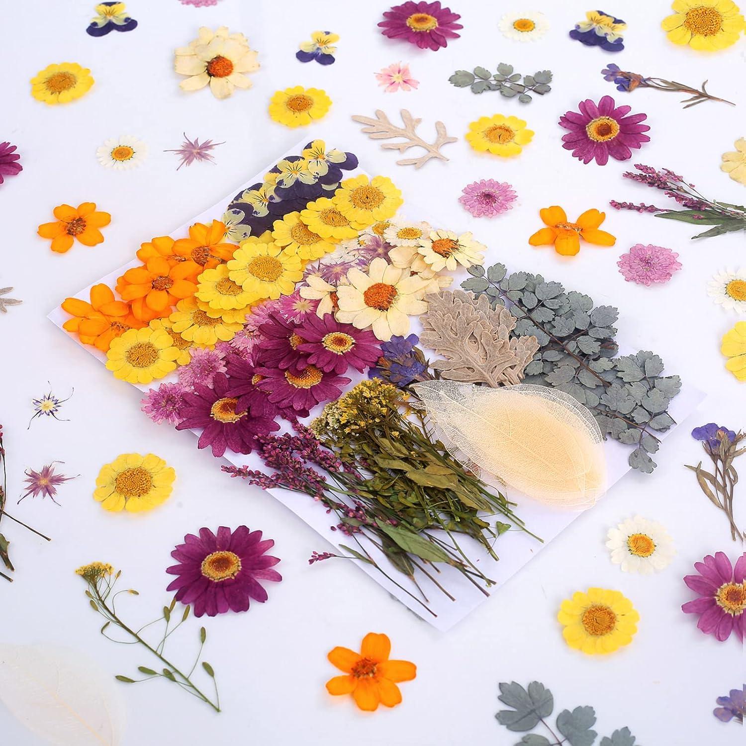 100 Flores Secas Prensadas Naturales AHTONG para Manualidades