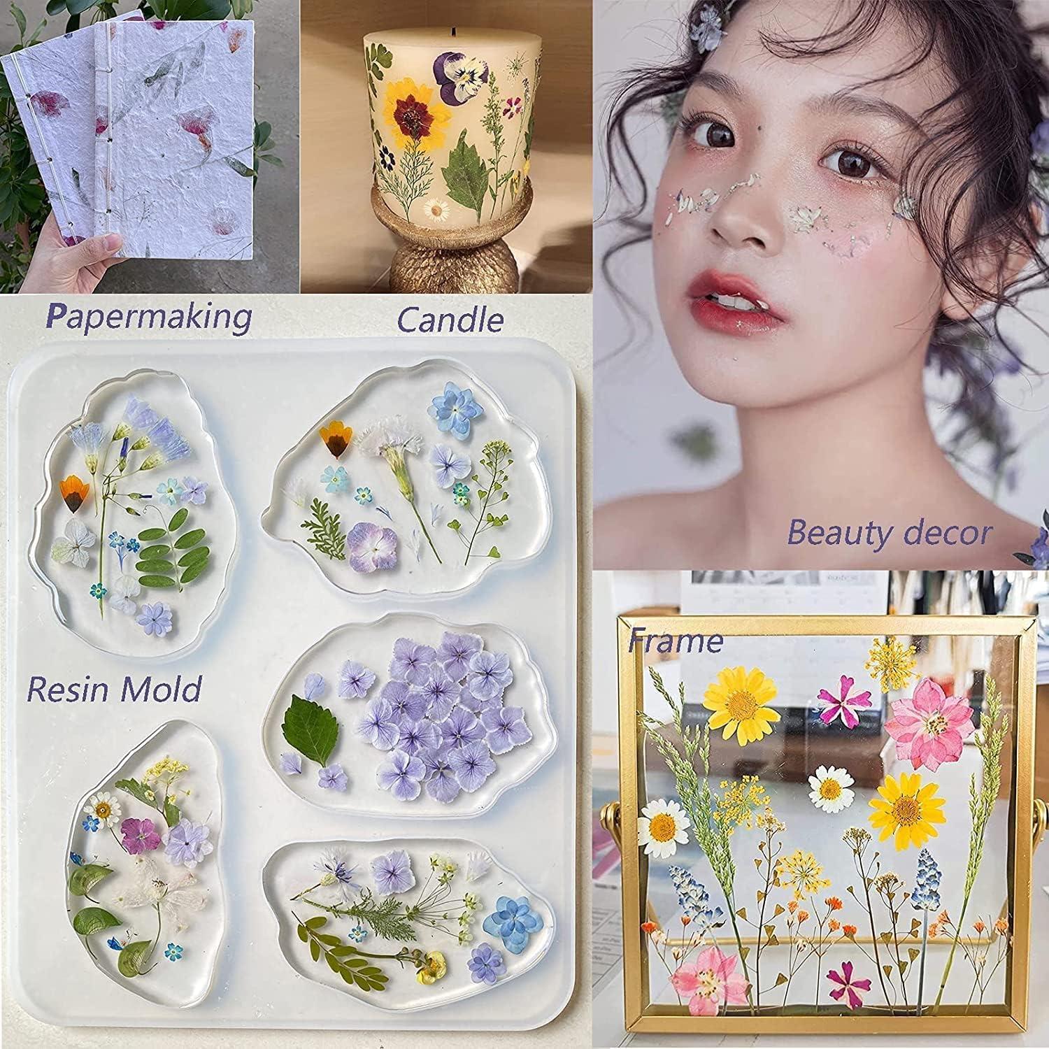 100 Flores Secas Prensadas Naturales AHTONG para Manualidades