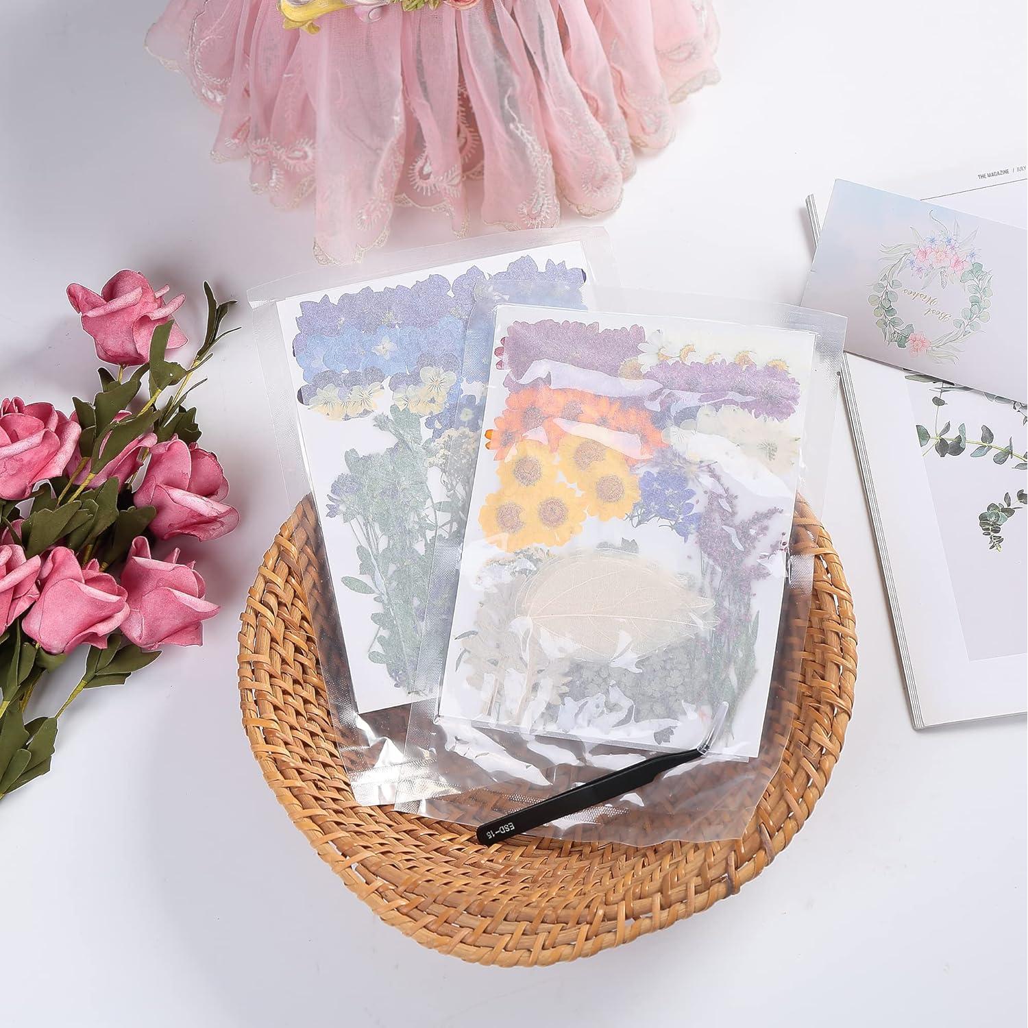 100 Flores Secas Prensadas Naturales AHTONG para Manualidades