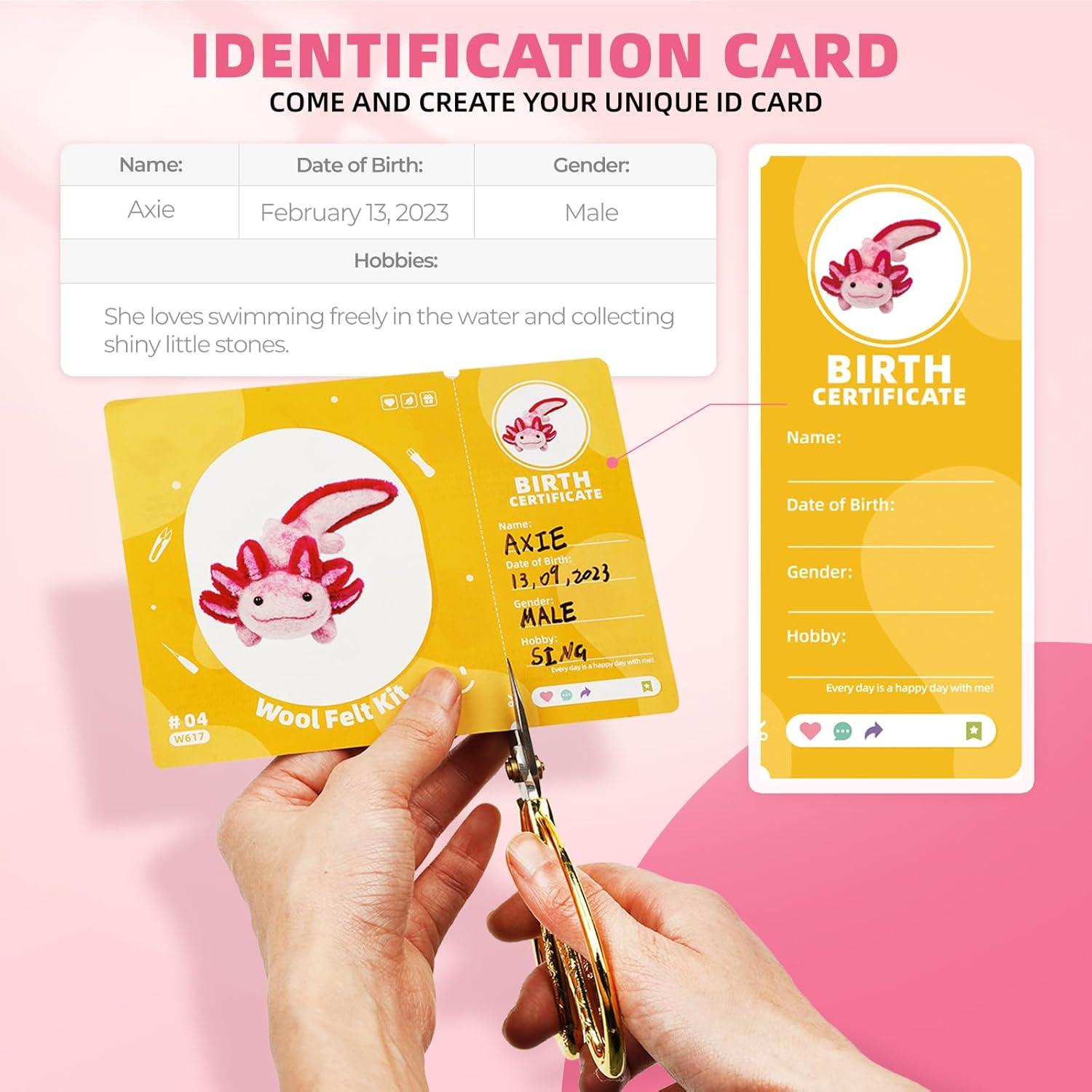 Kit de Fieltro con Agujas MOREJMTT 6 PCS para Principiantes