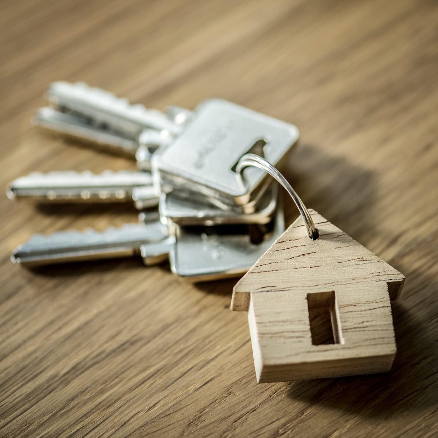 Anillas de Llave de Acero Galvanizado Versa-Tags 250 Unidades