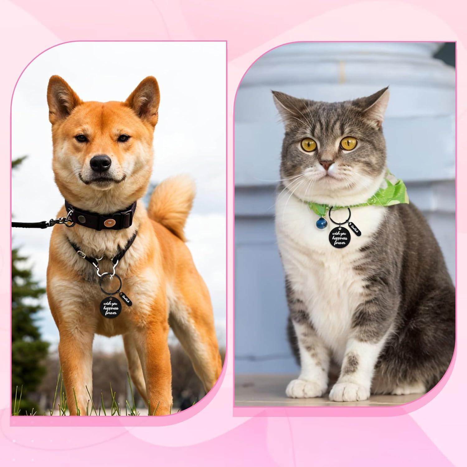 30 Llaveros de Acero Inoxidable Grabables en Blanco PEOVLVN