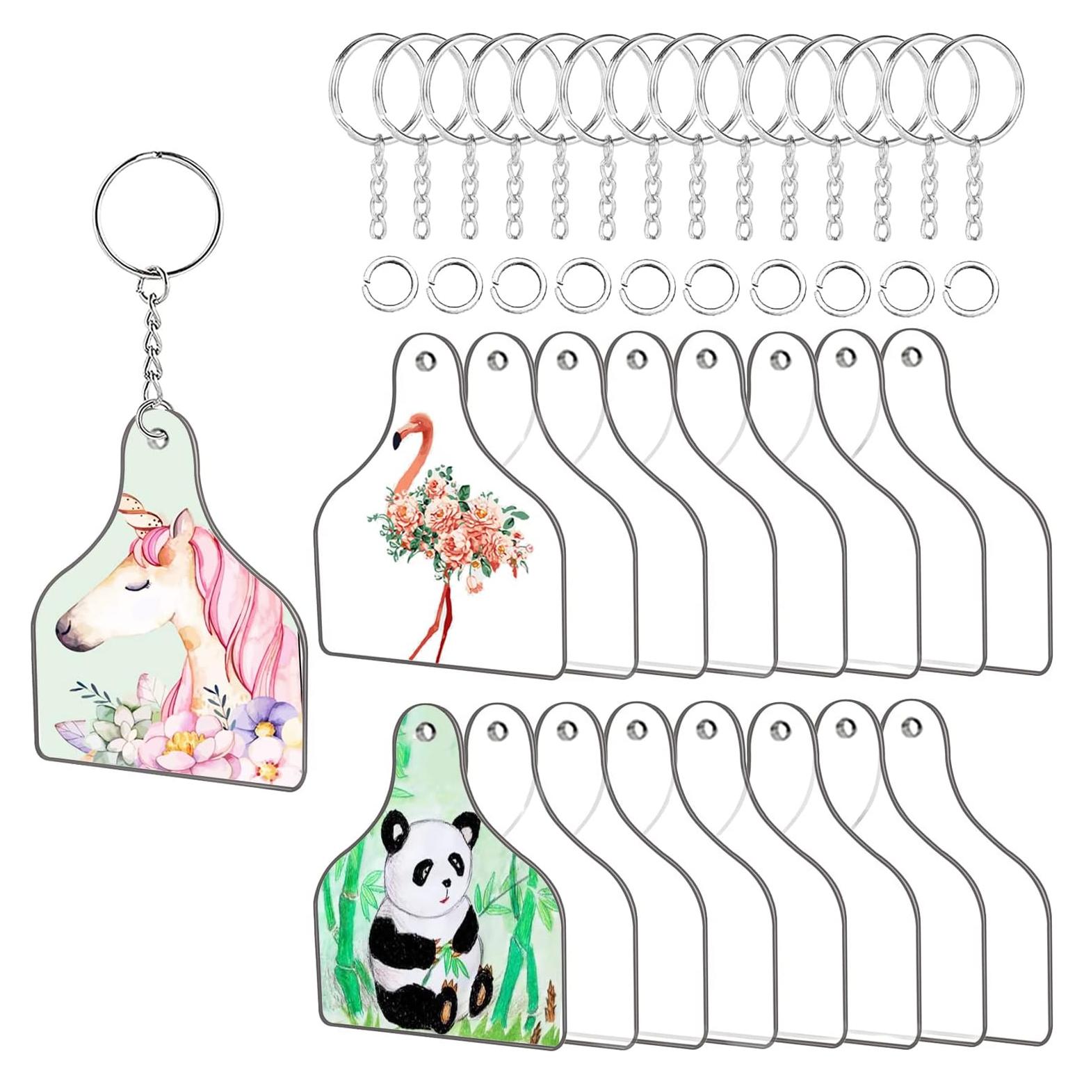 Kit de Etiquetas de Acrílico EFFIET 90 Piezas DIY Llaveros