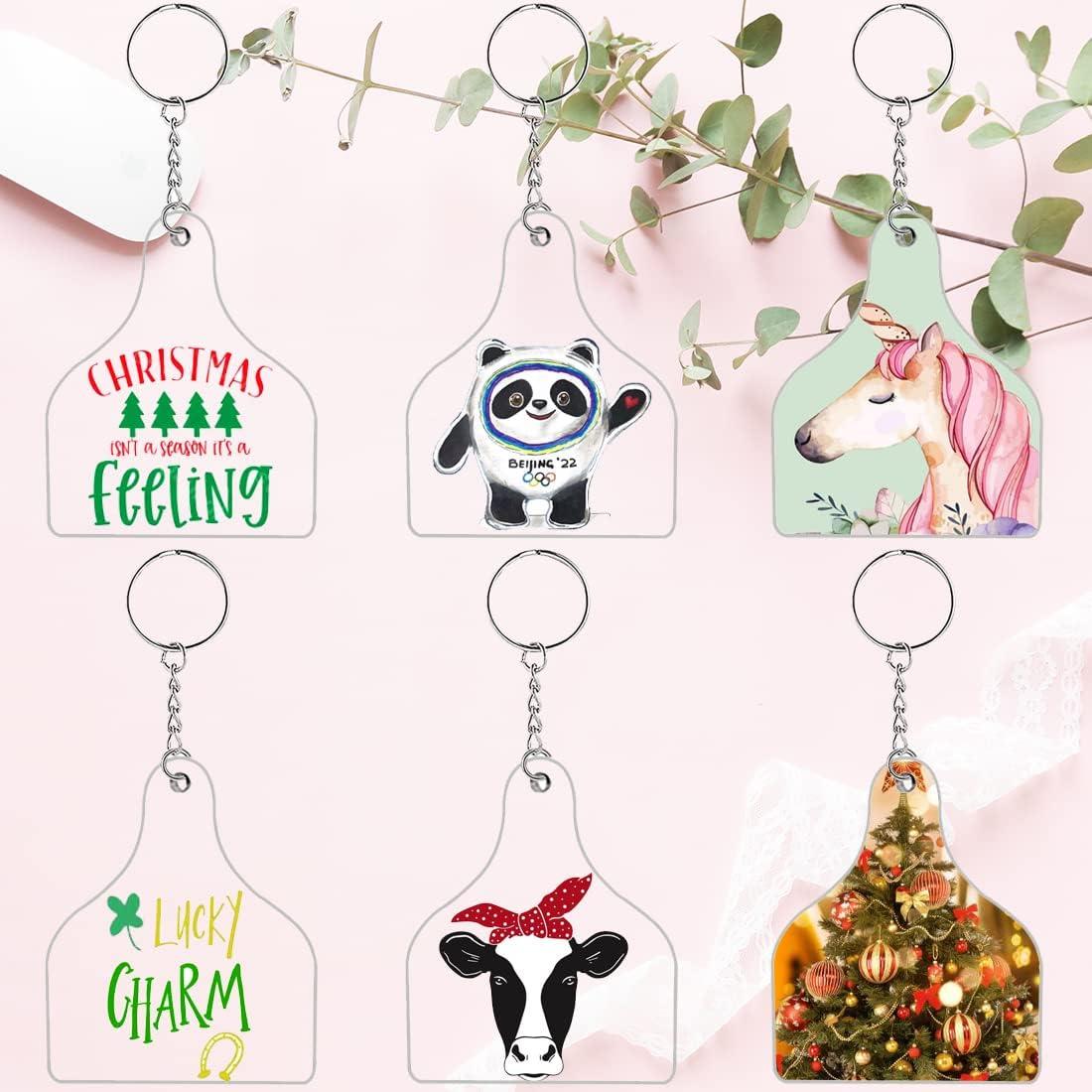 Kit de Etiquetas de Acrílico EFFIET 90 Piezas DIY Llaveros