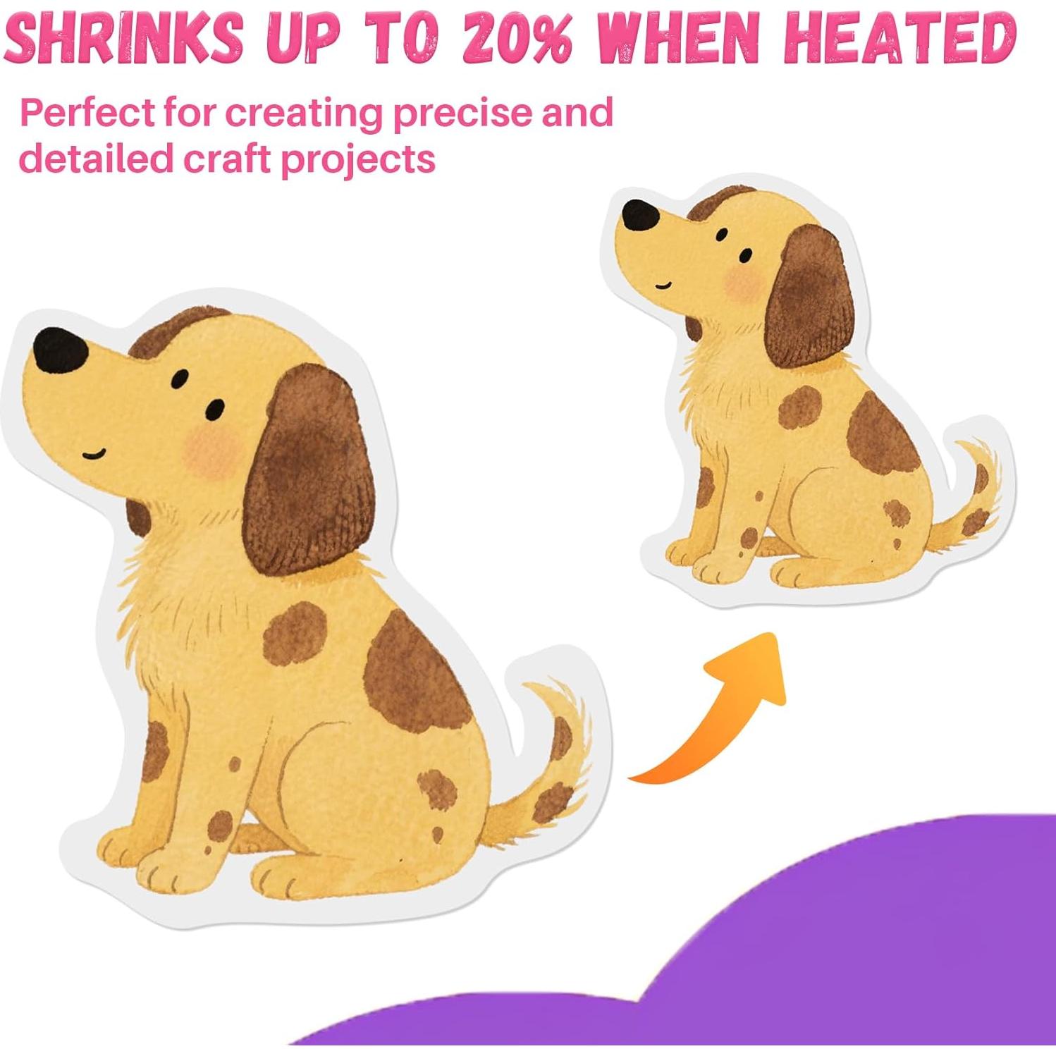 Hojas de Plástico que Encogen RAINFLOW - 22 Piezas 20x15 cm