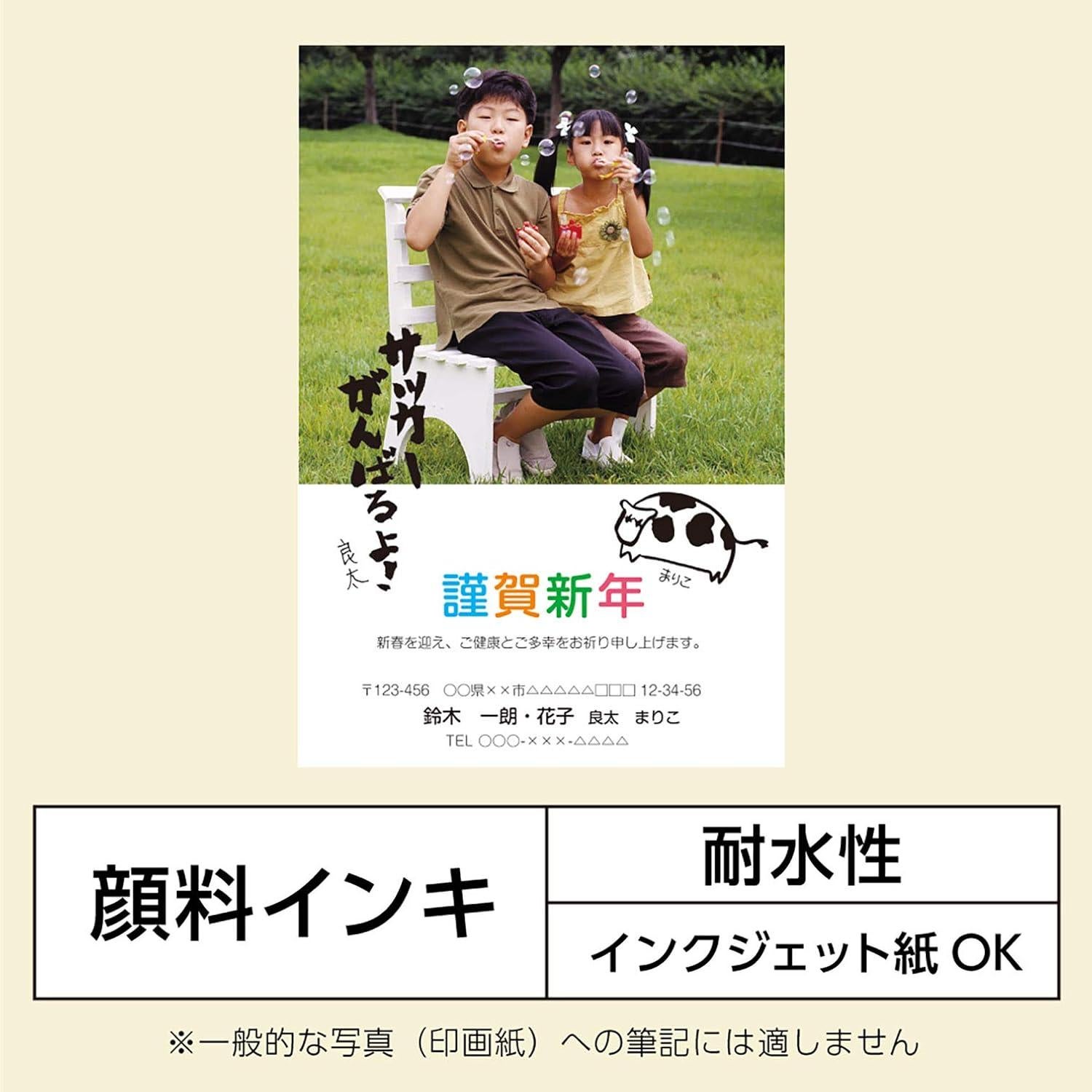 Pluma de Tinta Pigmentada Pentel XFP5F - Punta Fina Negra