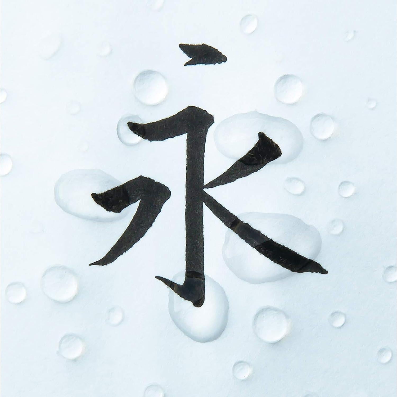 Pluma de Tinta Pigmentada Pentel XFP5F - Punta Fina Negra