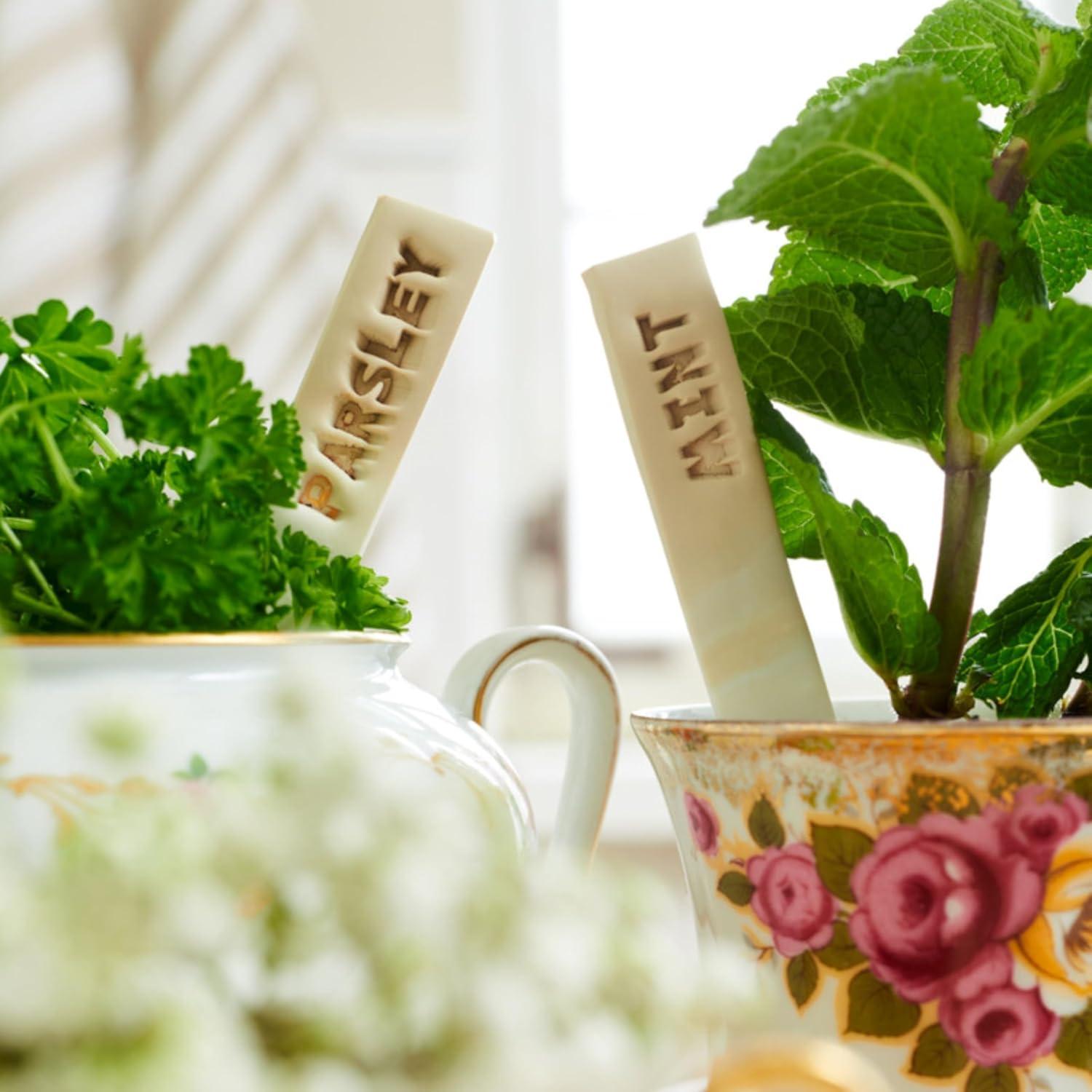 Arcilla Polimérica FIMO Soft Staedtler 454 g Blanco 8021-0