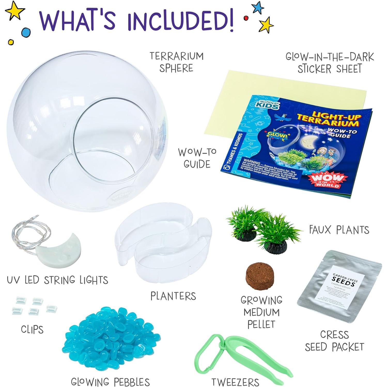 Terrario Luminoso Thames & Kosmos - Cultiva Alfalfa y Decora