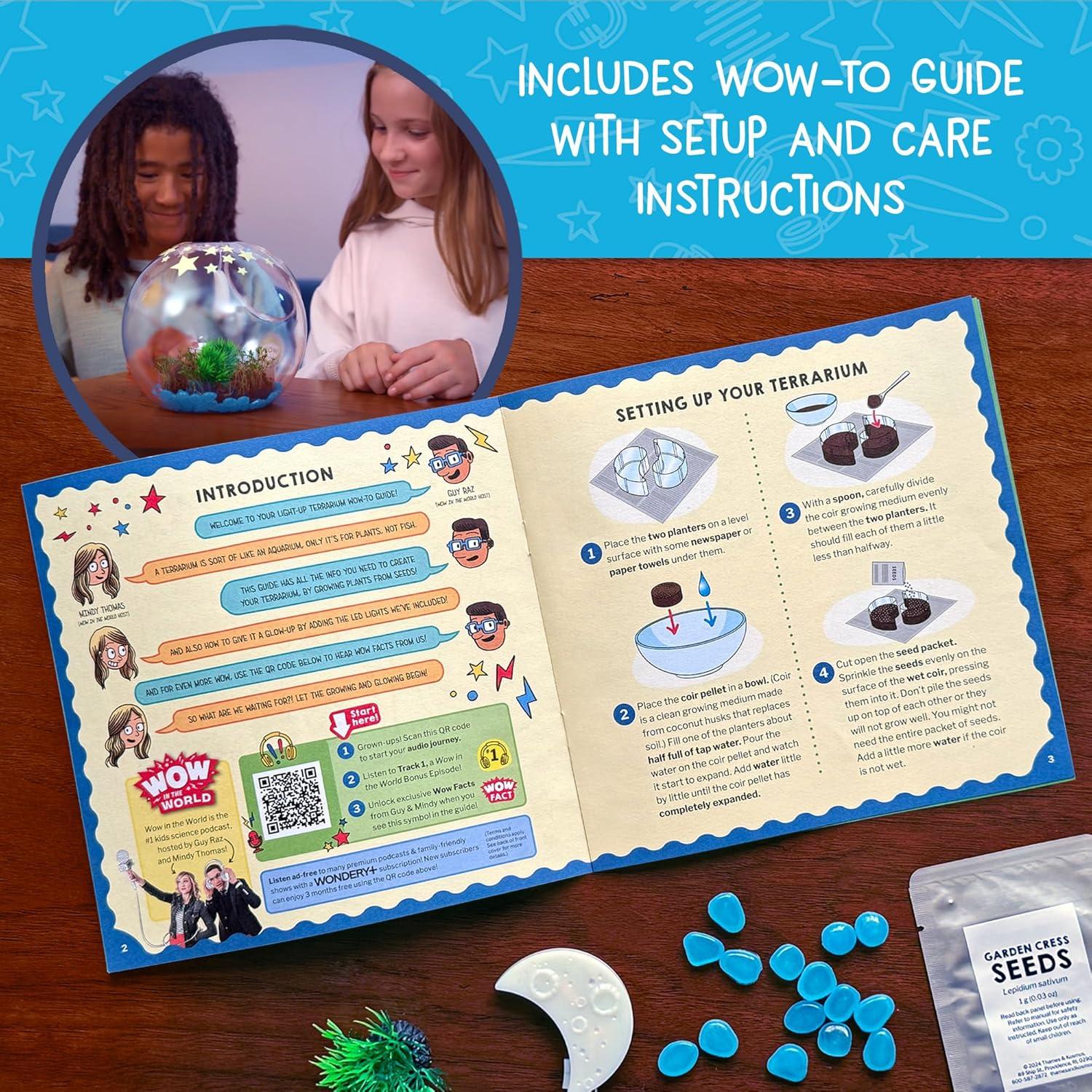 Terrario Luminoso Thames & Kosmos - Cultiva Alfalfa y Decora