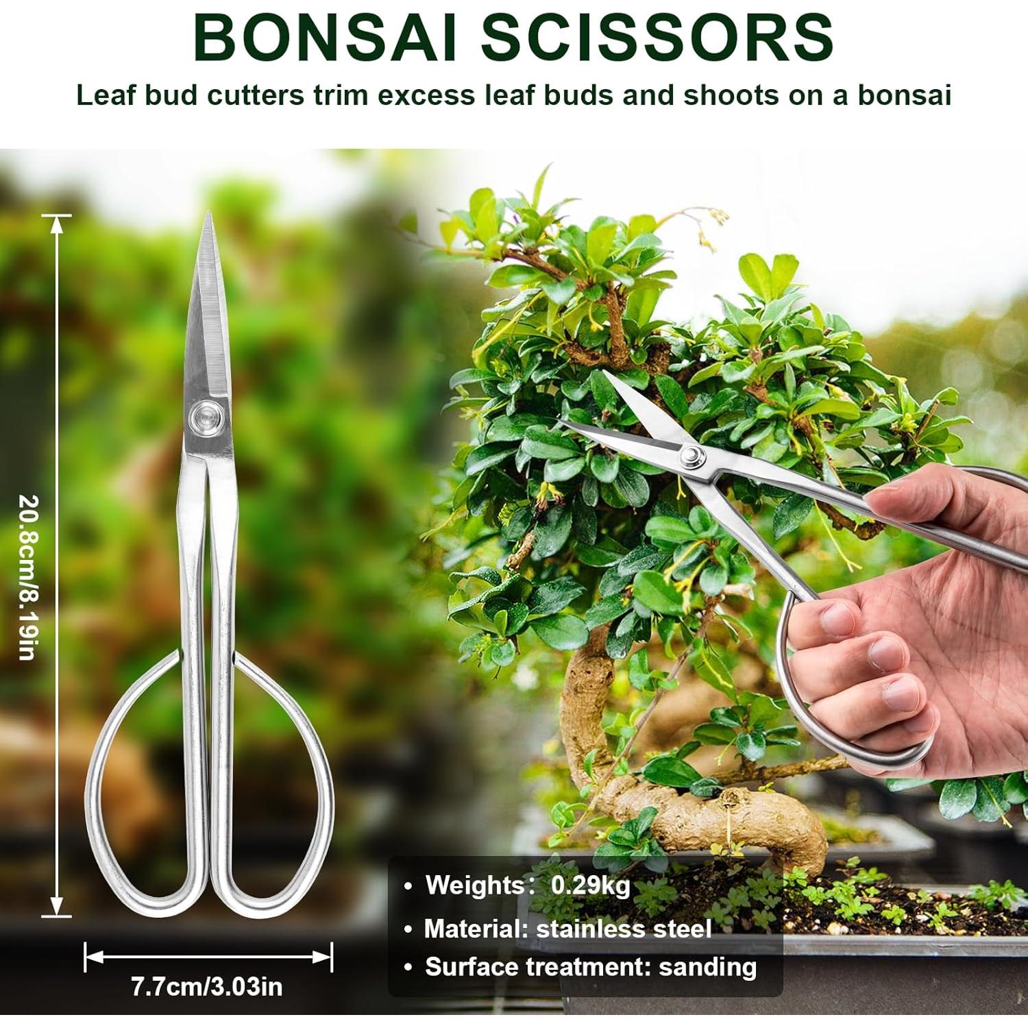 Juego de Herramientas de Poda de Bonsai 6 PZS ppkbbeb