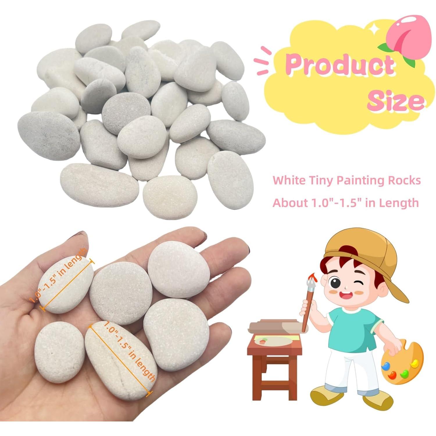 30 Piedras Blancas para Pintar Meilala 2.54cm-3.81cm DIY