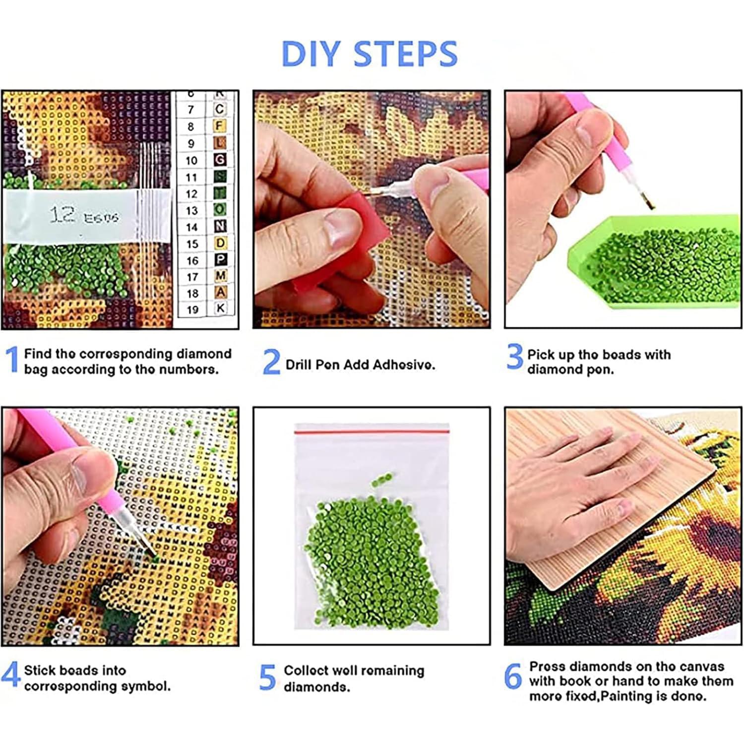 Kit de Pintura de Diamantes GemZono 5D Adultos 30x40 cm