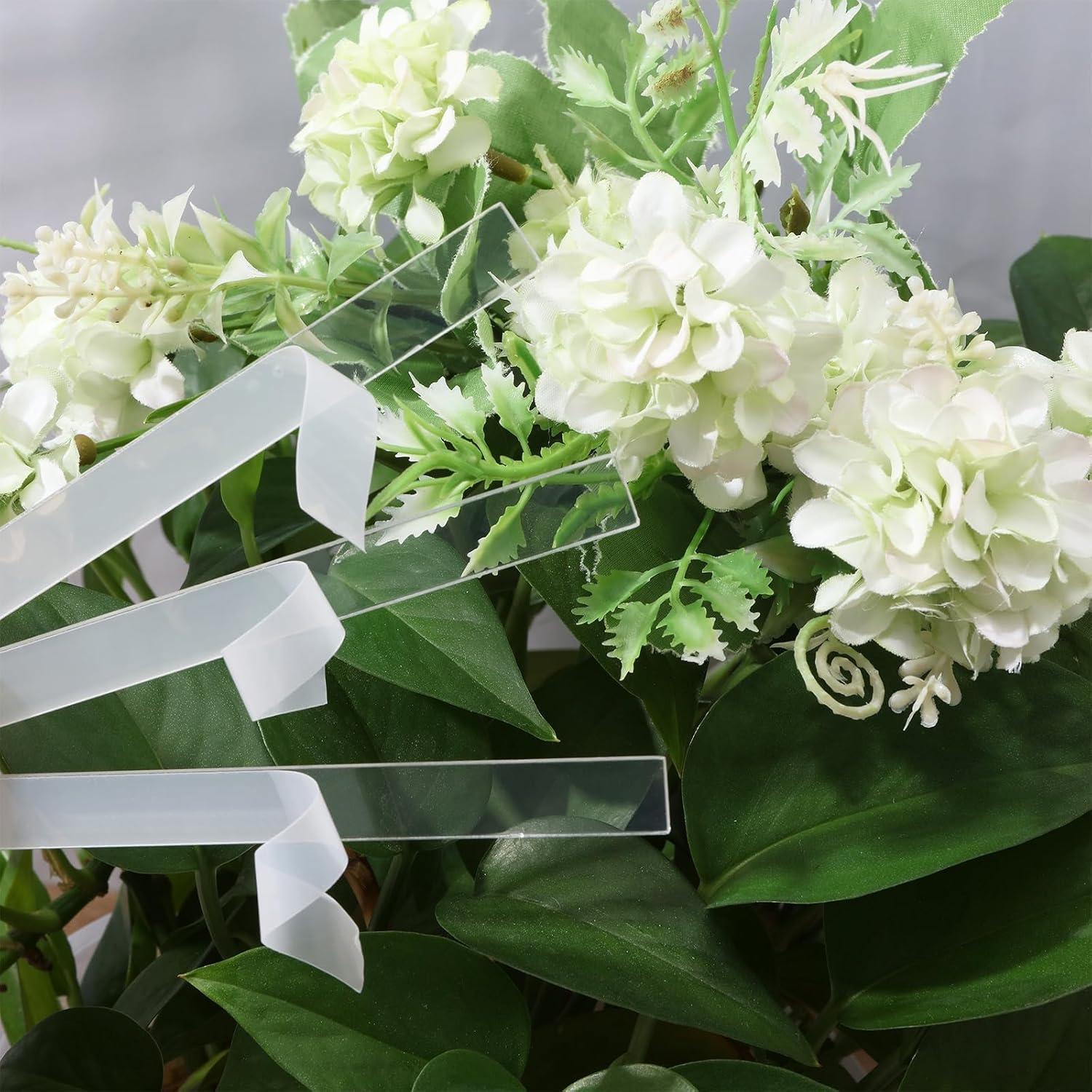 Etiquetas de Identificación de Plantas CHGCRAFT 60 Pcs Acrílico