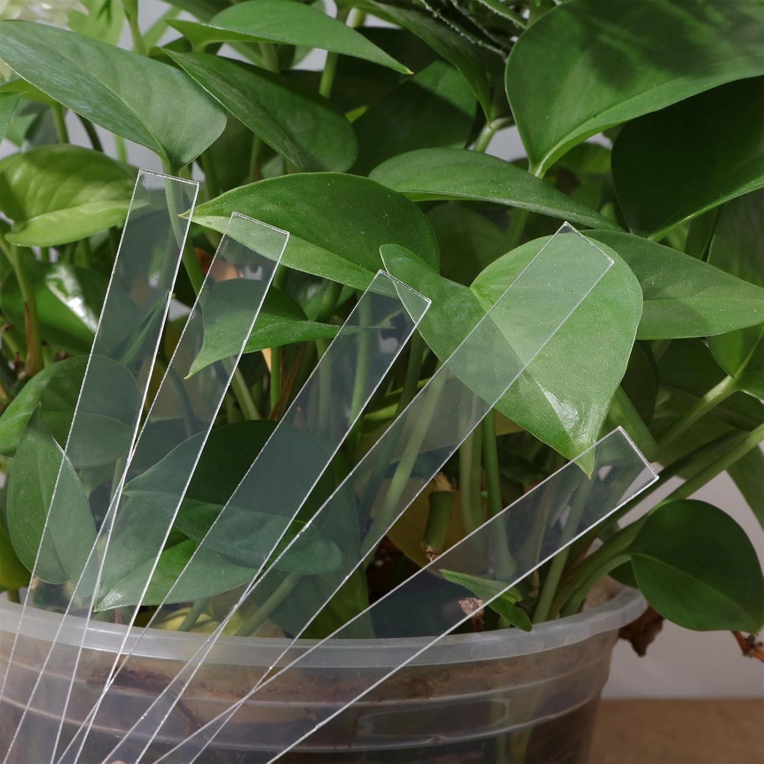 Etiquetas de Identificación de Plantas CHGCRAFT 60 Pcs Acrílico