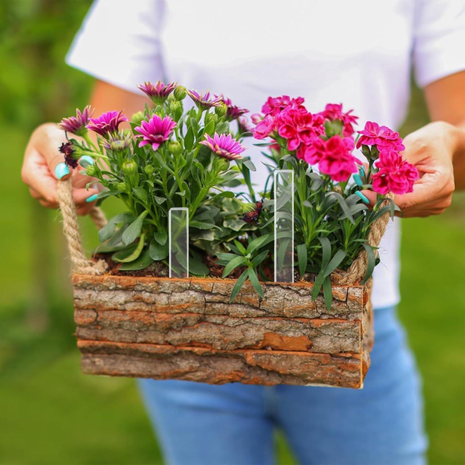 Etiquetas de Identificación de Plantas CHGCRAFT 60 Pcs Acrílico