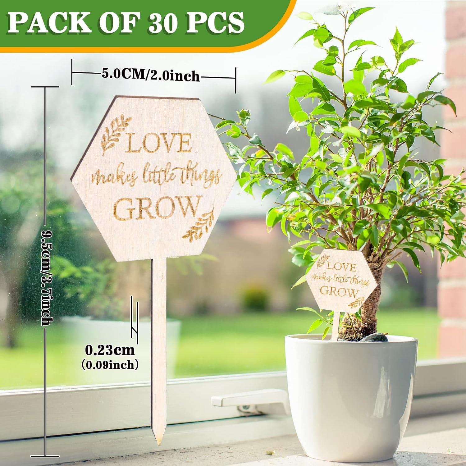 Etiquetas de Jardín AnyDesign 30 Pcs Madera Amor Crece