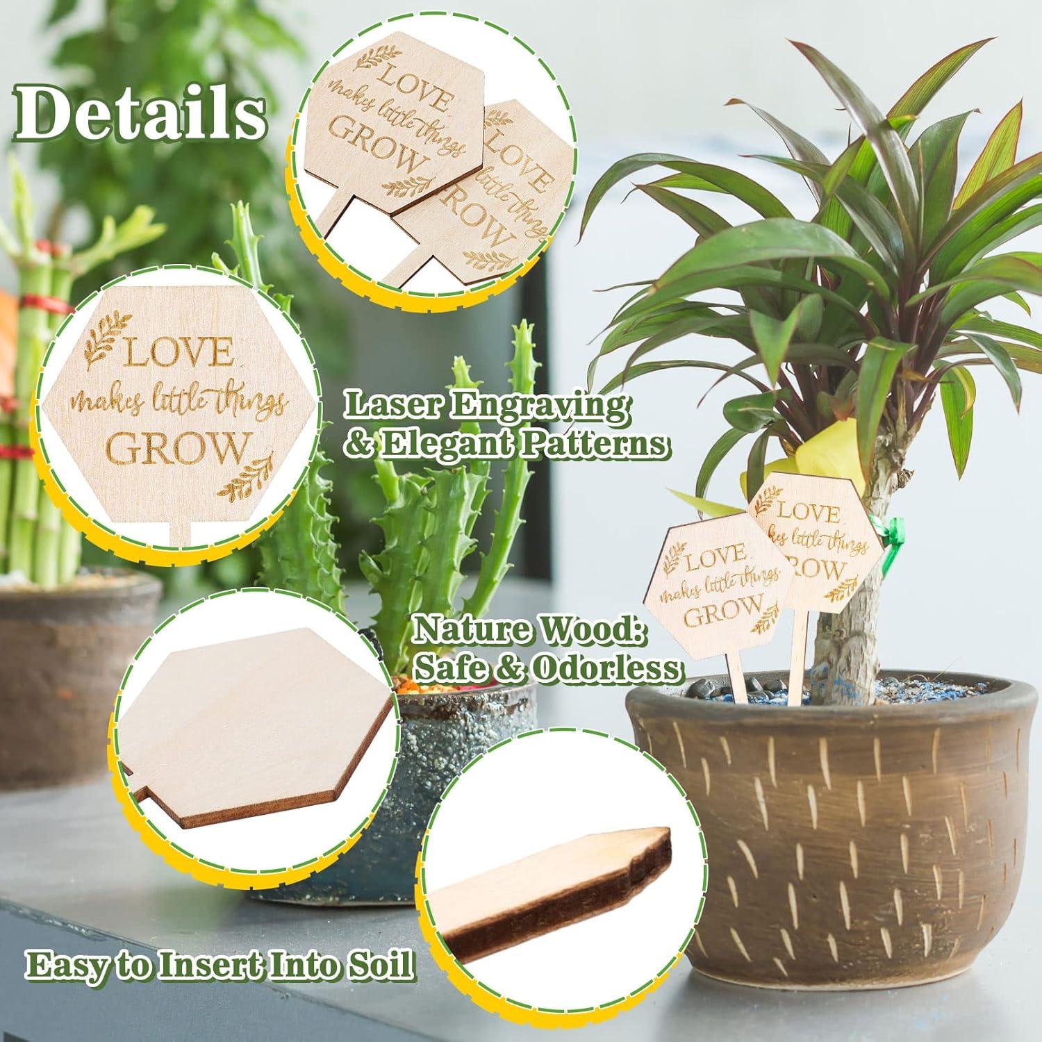 Etiquetas de Jardín AnyDesign 30 Pcs Madera Amor Crece