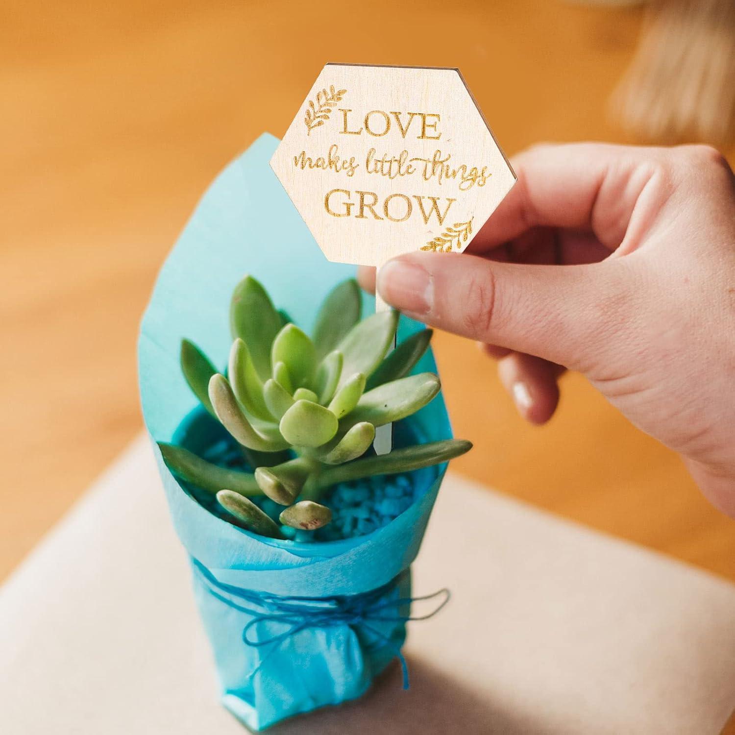 Etiquetas de Jardín AnyDesign 30 Pcs Madera Amor Crece