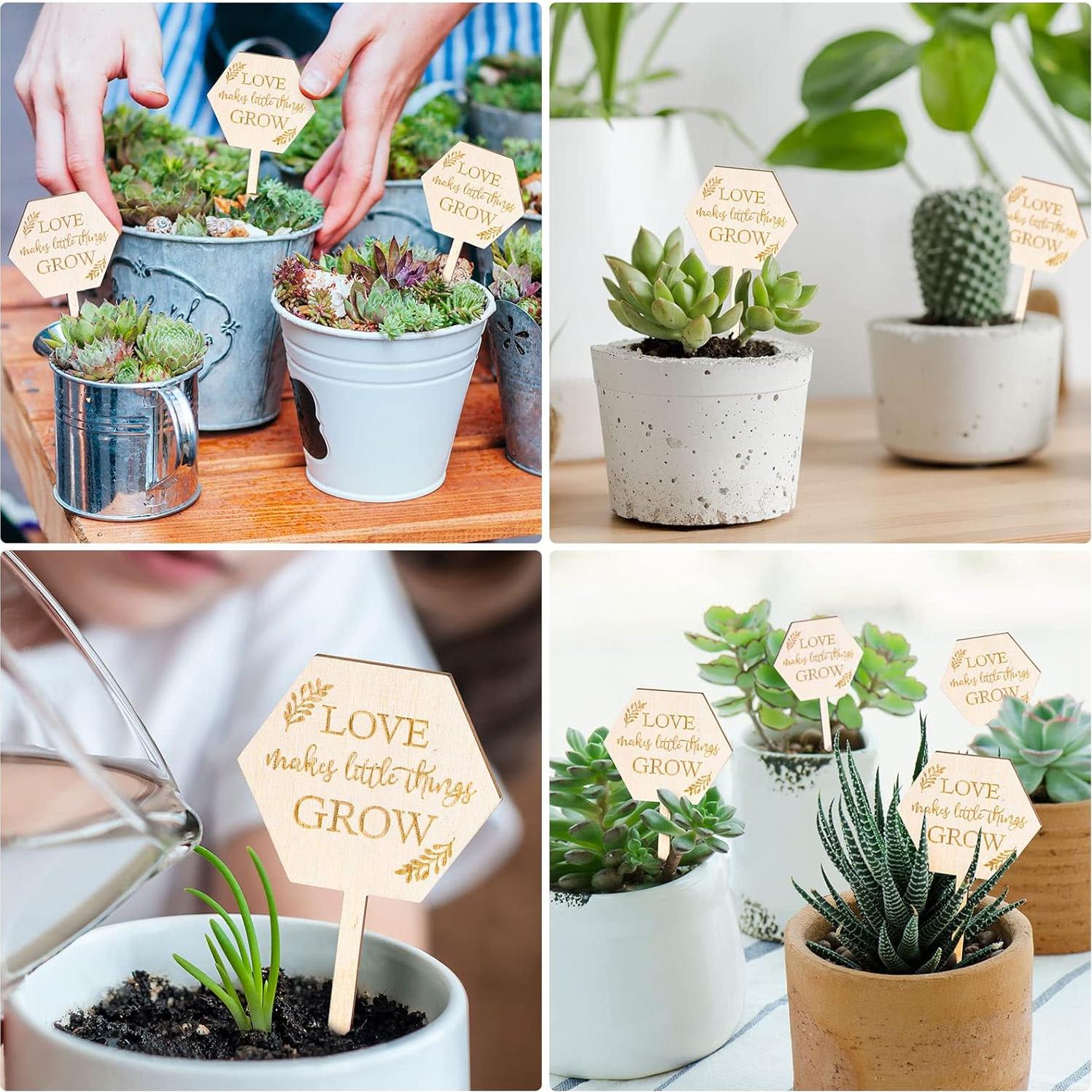 Etiquetas de Jardín AnyDesign 30 Pcs Madera Amor Crece