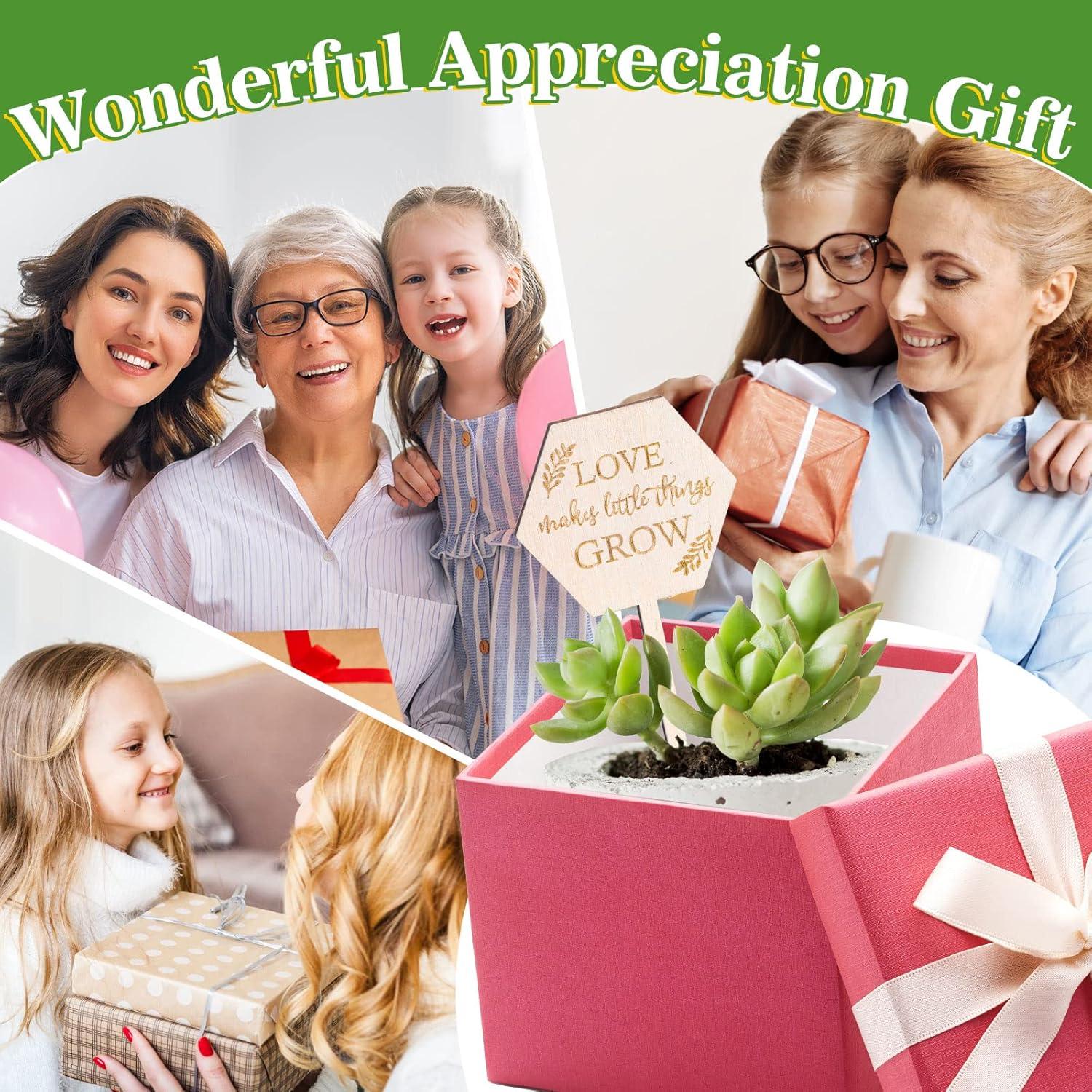 Etiquetas de Jardín AnyDesign 30 Pcs Madera Amor Crece