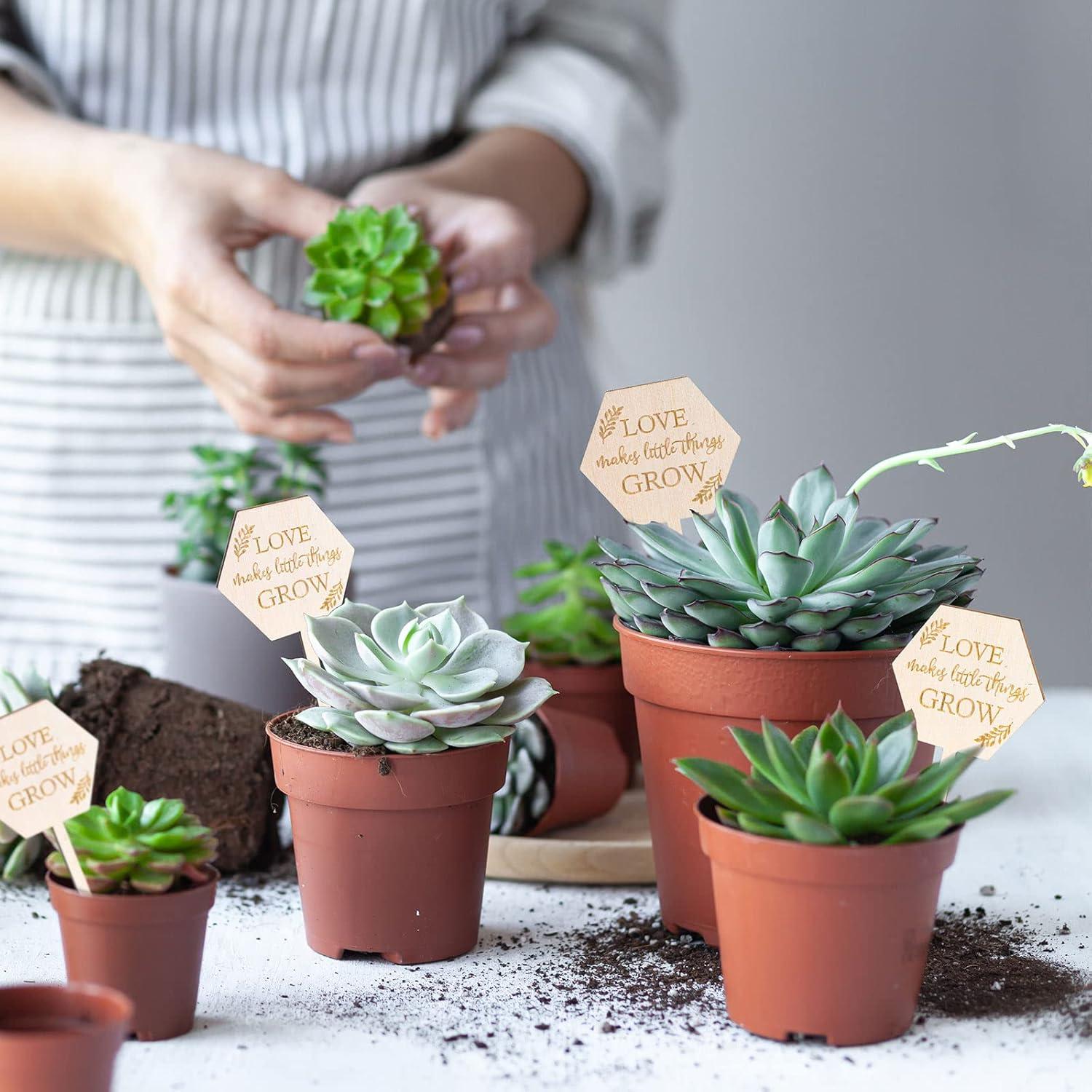 Etiquetas de Jardín AnyDesign 30 Pcs Madera Amor Crece