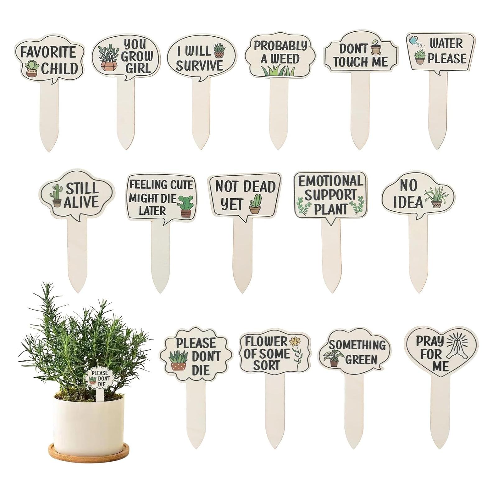 15 Marcadores de Plantas de Madera HJZHII 11x6.7cm Divertidos