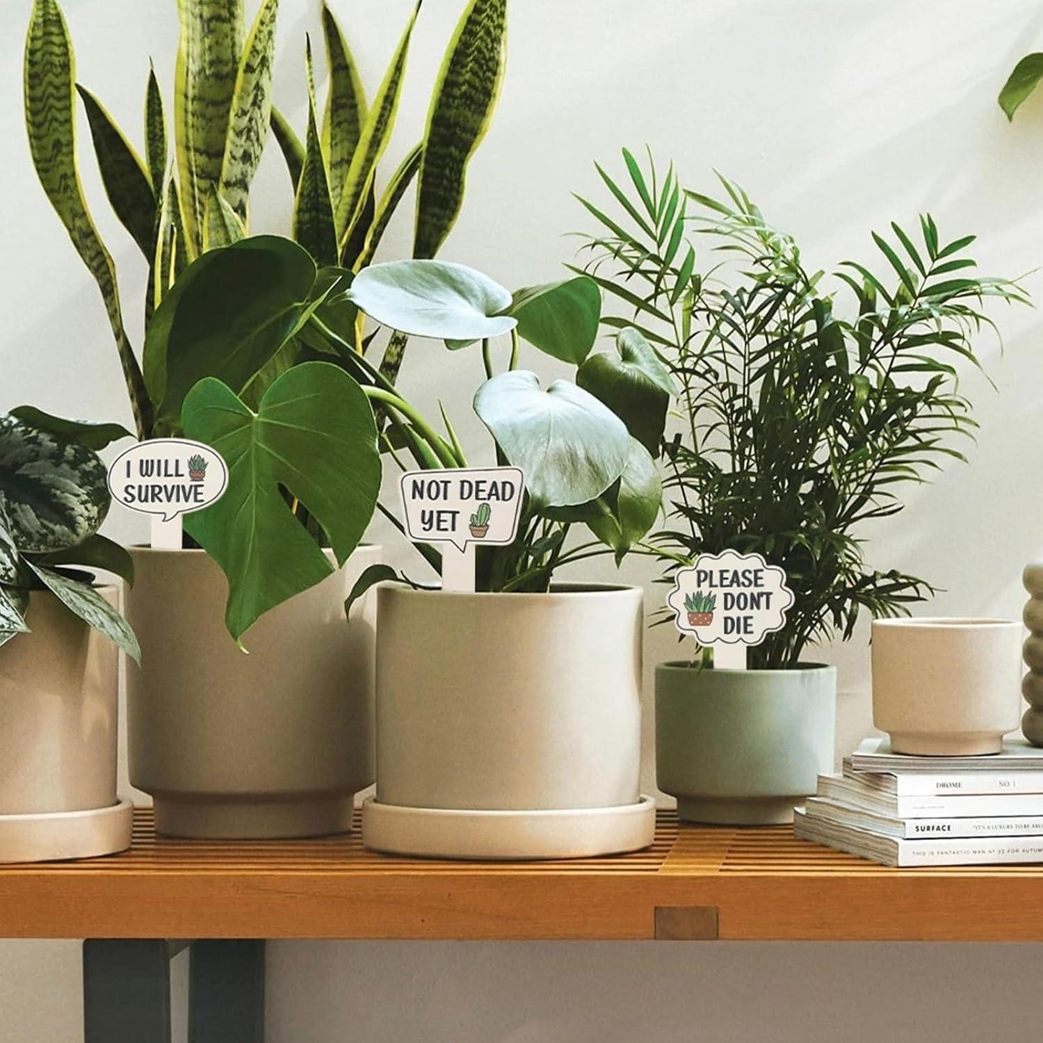 15 Marcadores de Plantas de Madera HJZHII 11x6.7cm Divertidos