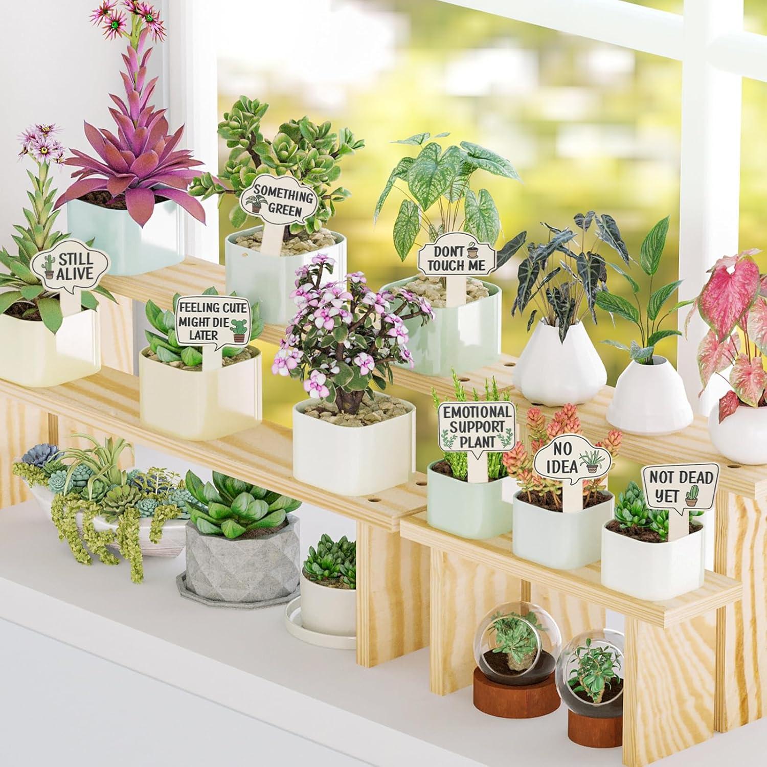 15 Marcadores de Plantas de Madera HJZHII 11x6.7cm Divertidos