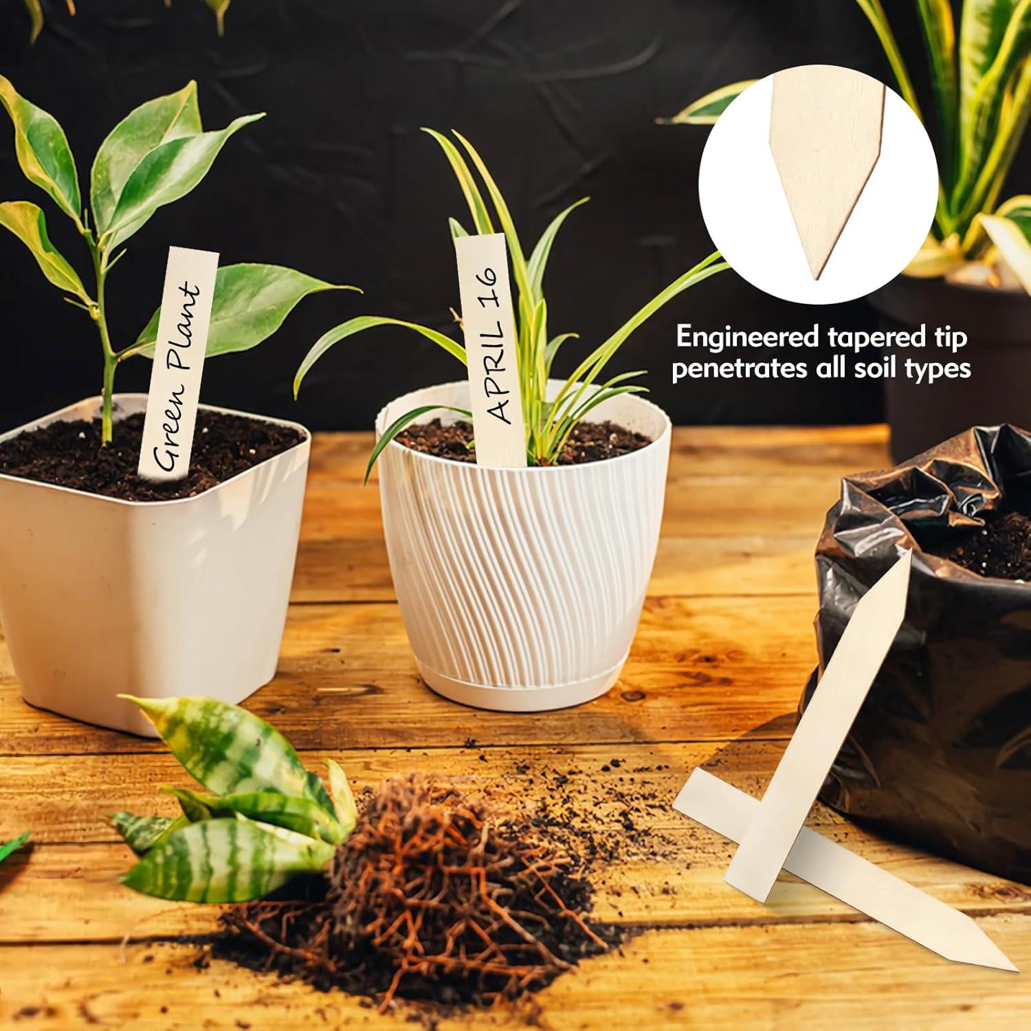 30 Etiquetas de Madera FLATRI para Jardín 15x2cm Reutilizables