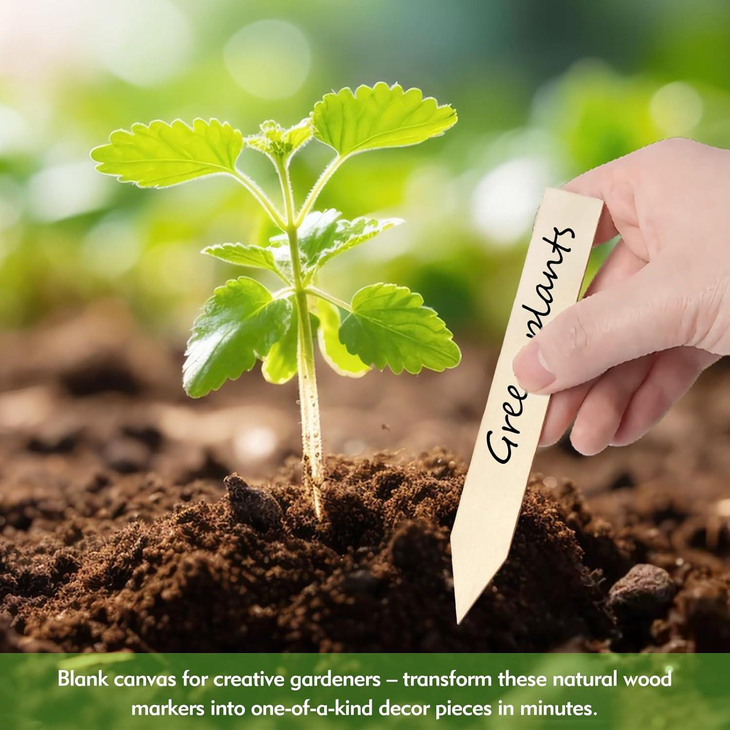 30 Etiquetas de Madera FLATRI para Jardín 15x2cm Reutilizables