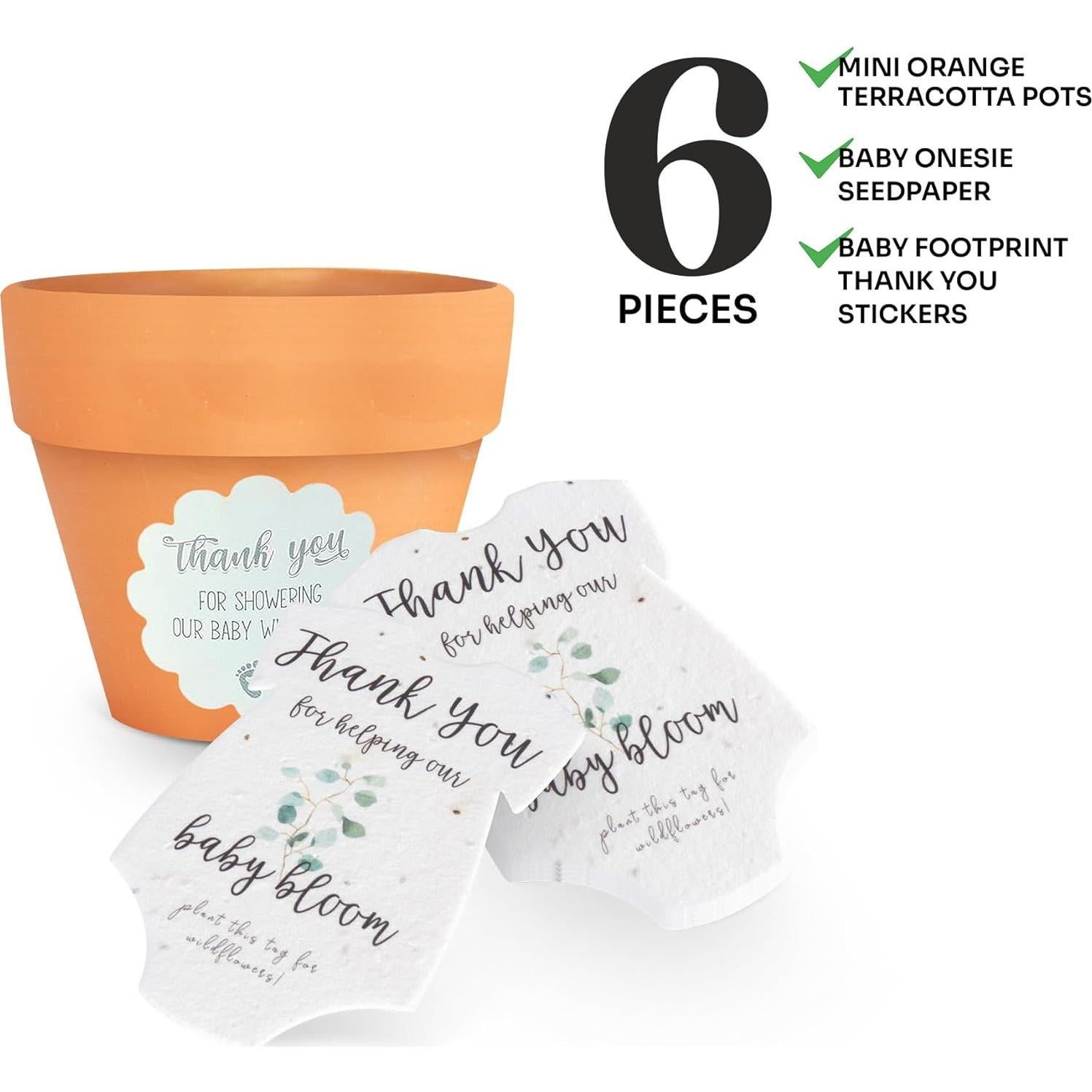 Juego de 6 Papeles Semilla Body Verde con Macetas Naranjas