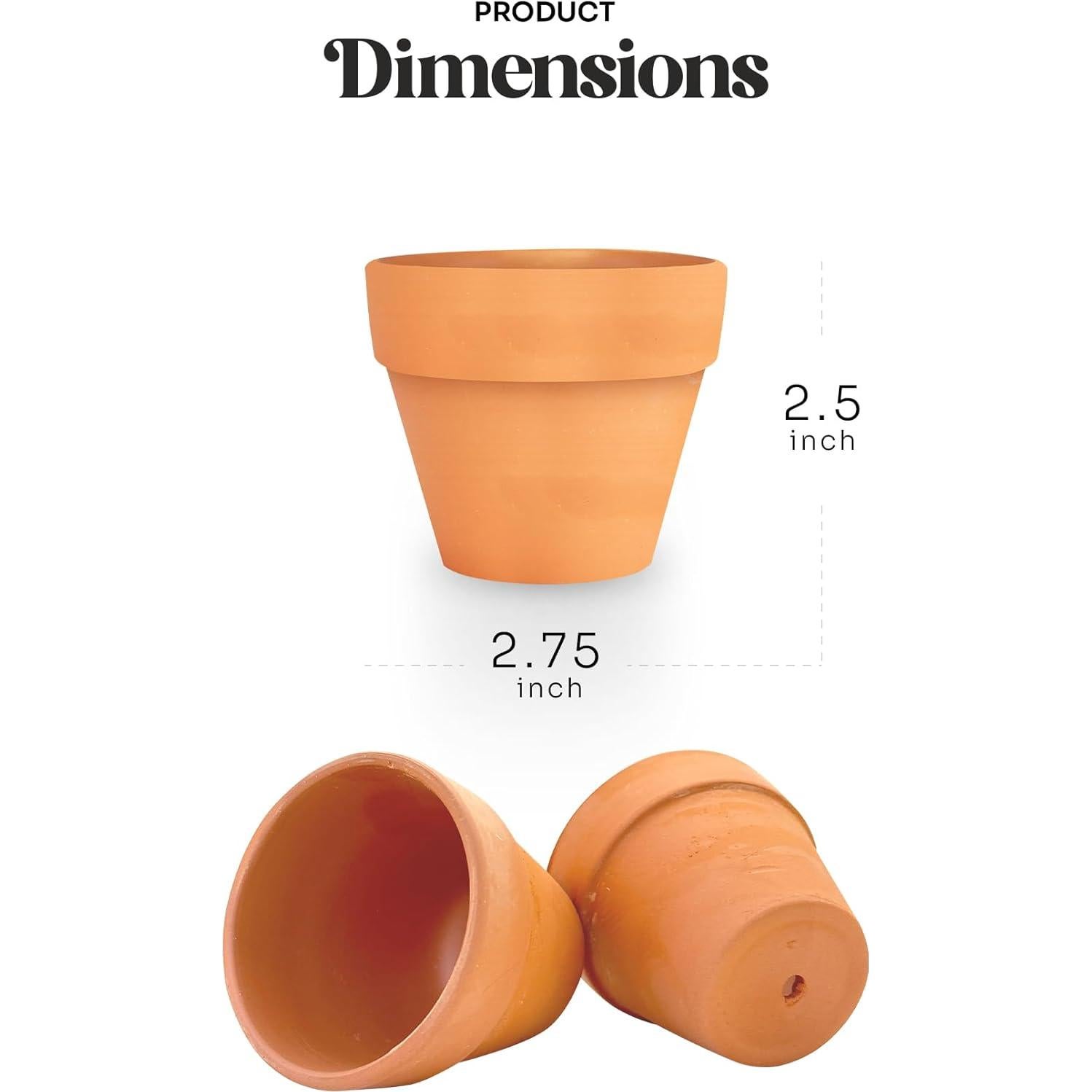 Juego de 6 Papeles Semilla Body Verde con Macetas Naranjas